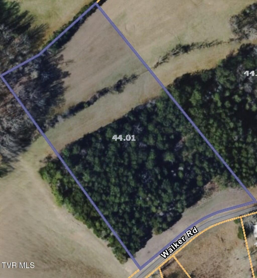 Photo of 115 Walker Road, Bulls Gap, TN 37711 (MLS # 9994979)