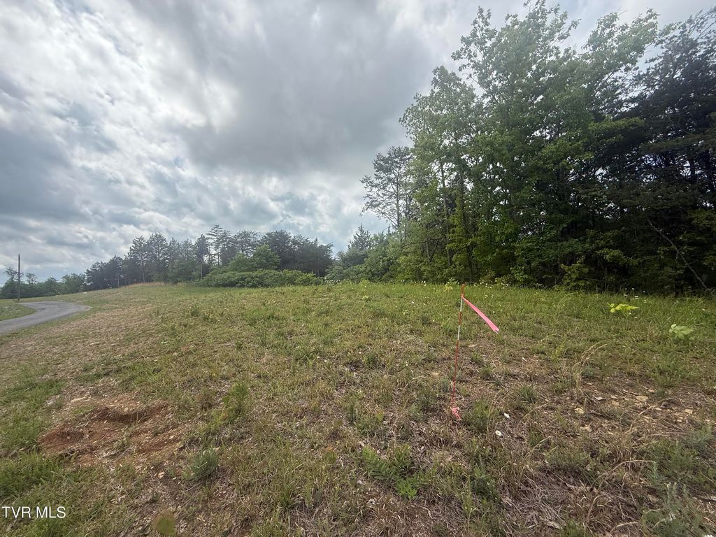 Photo of 115 Walker Road, Bulls Gap, TN 37711 (MLS # 9994979)