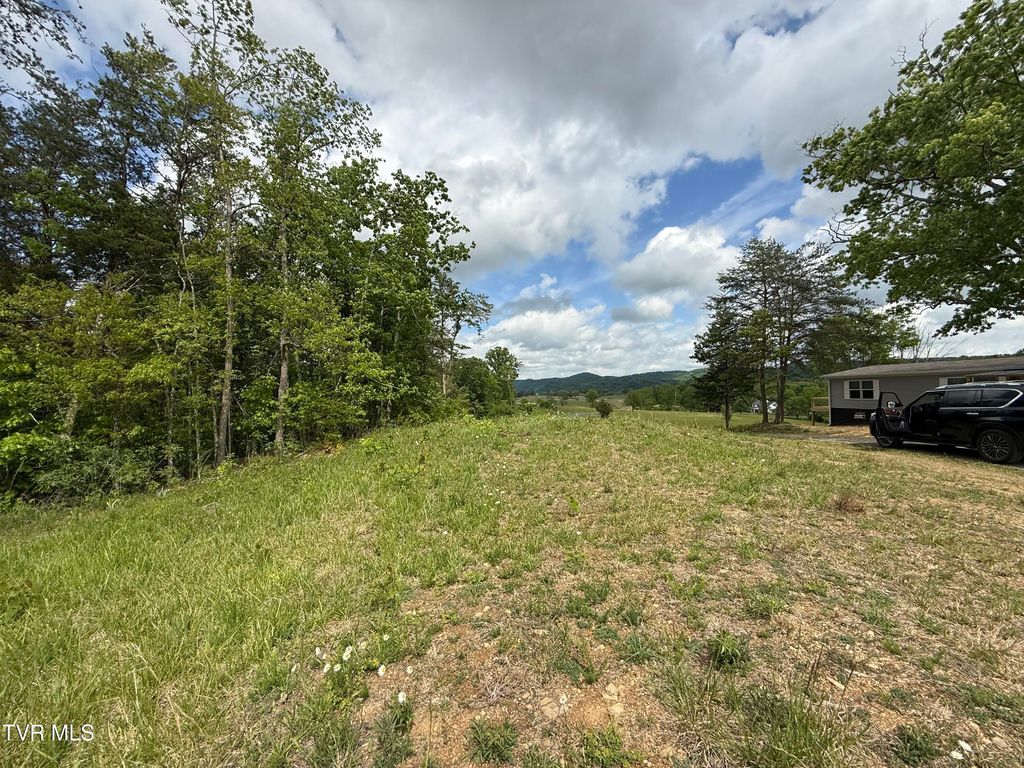 Photo of 115 Walker Road, Bulls Gap, TN 37711 (MLS # 9994979)