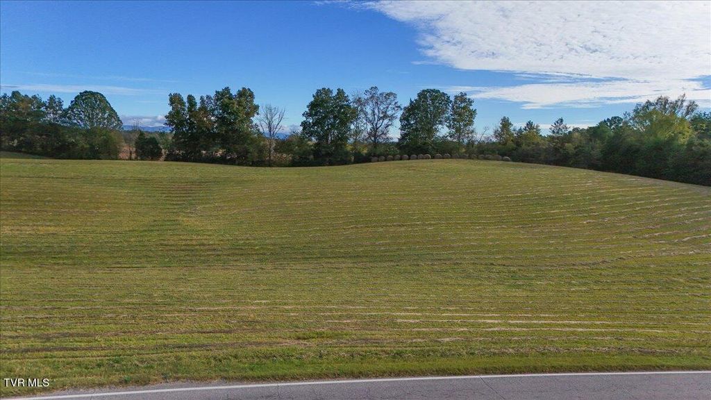 Photo of Tbd Horton Highway, Greeneville, TN 37745 (MLS # 9986912)