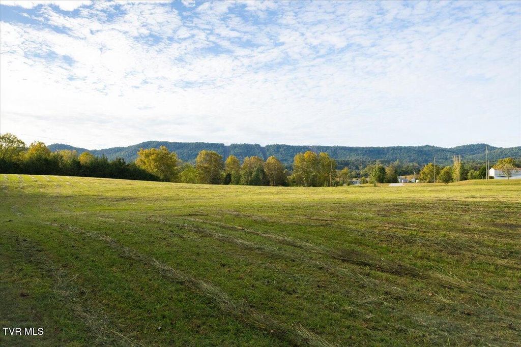 Photo of Tbd Horton Highway, Greeneville, TN 37745 (MLS # 9986912)