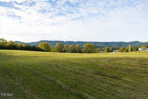 Vacant Land For Sale - TBD Horton Highway<br/> Greeneville, TN 37745