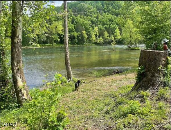 3995 Horton Ford Road, Eidson, Tennessee image 3