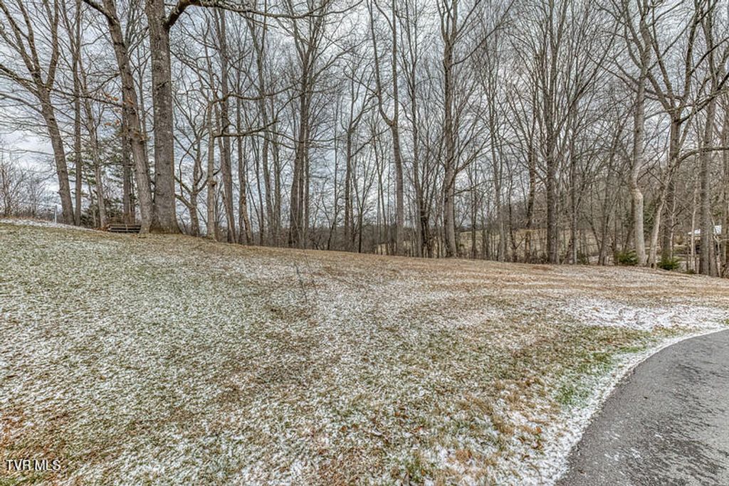 Photo of Tbd Victor Drive, Johnson City, TN 37601 (MLS # 9990374)