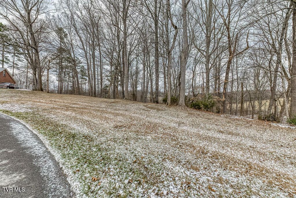 Photo of Tbd Victor Drive, Johnson City, TN 37601 (MLS # 9990374)