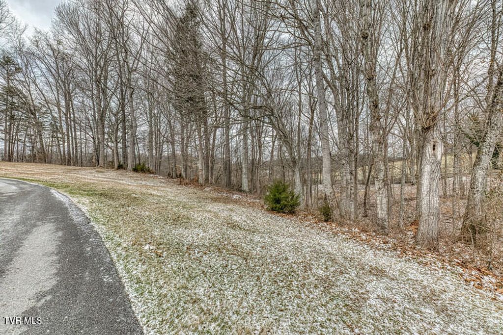 Photo of Tbd Victor Drive, Johnson City, TN 37601 (MLS # 9990374)