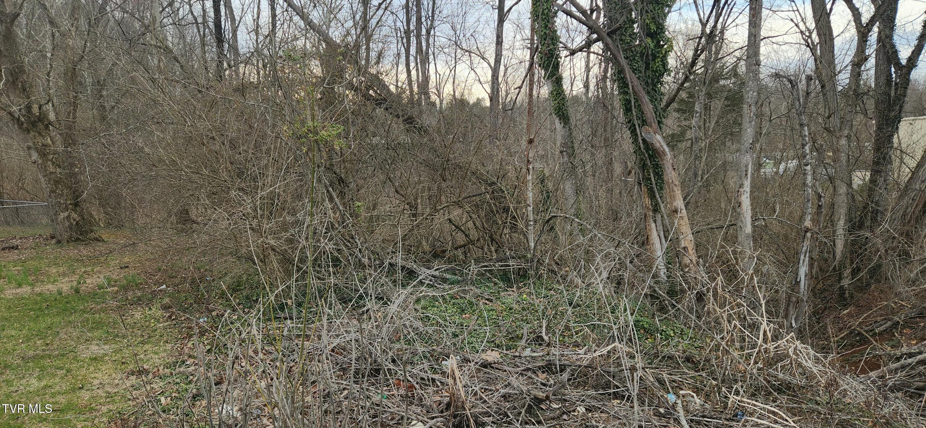 1732 Weaver Pike, Bristol, Tennessee image 6