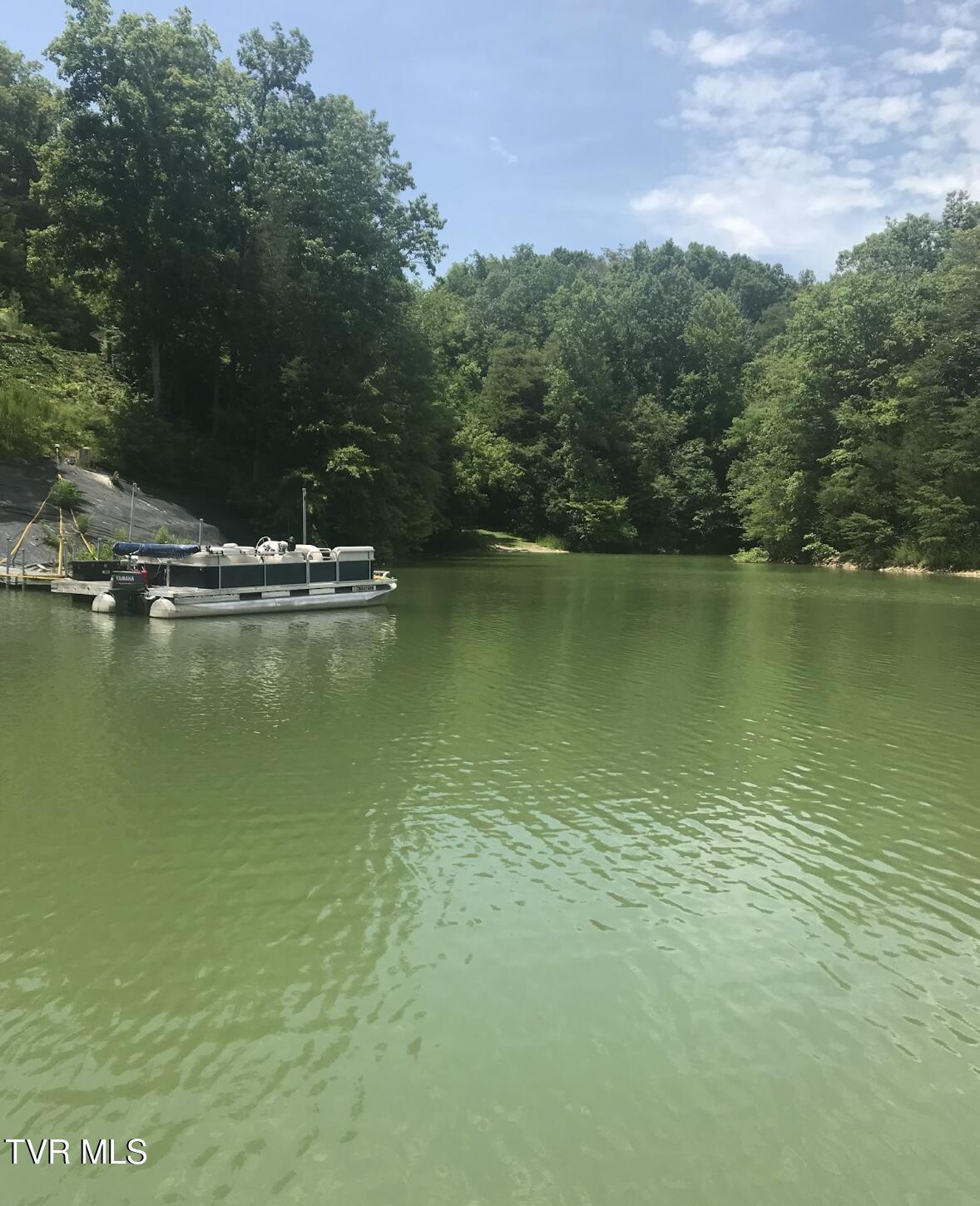 Weeping Willow Way, Newport, Tennessee image 4
