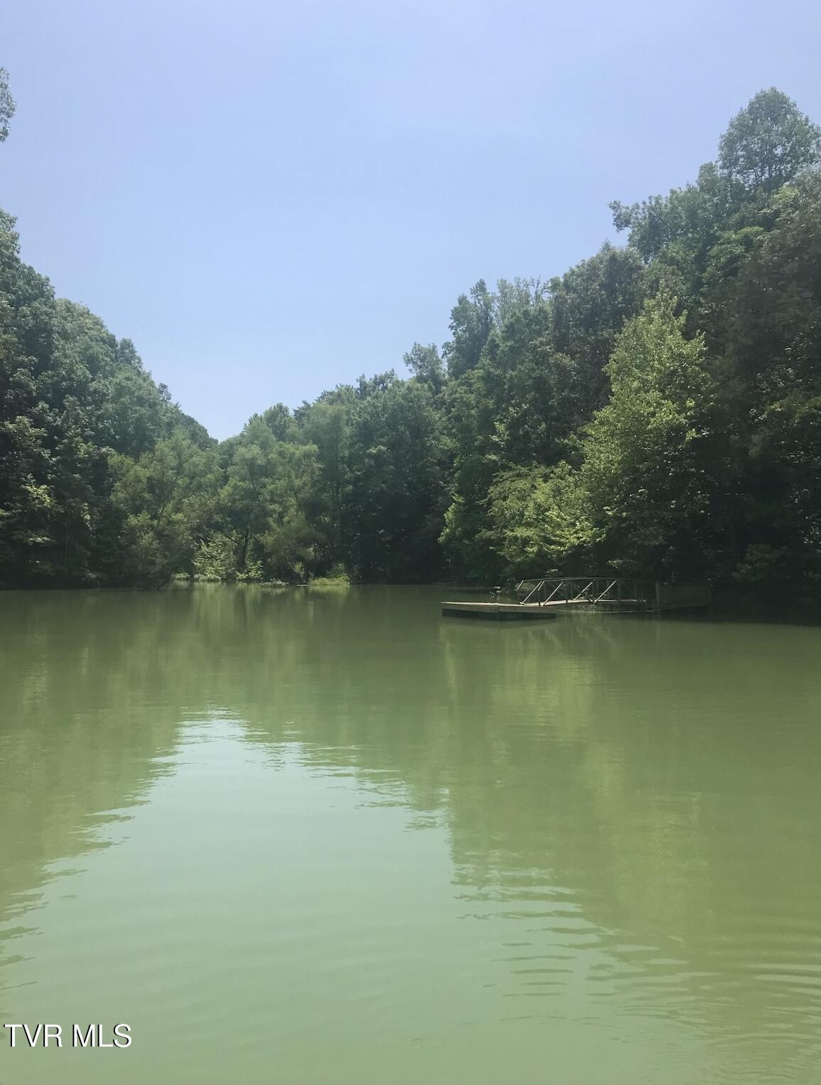 Weeping Willow Way, Newport, Tennessee image 5