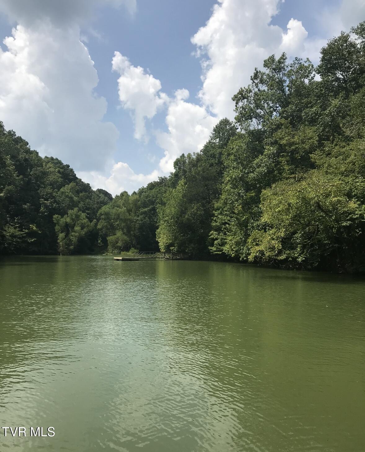 Weeping Willow Way, Newport, Tennessee image 2