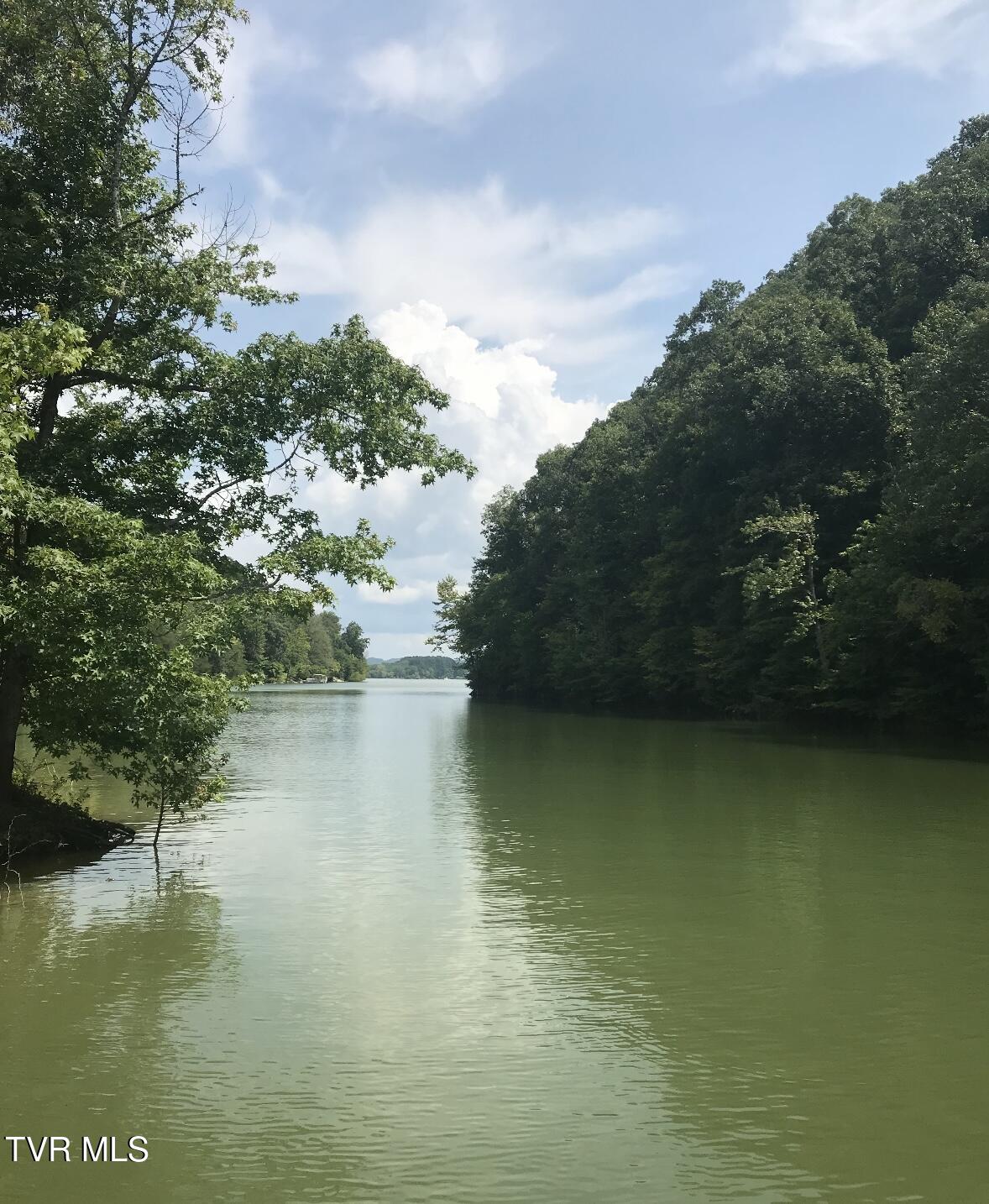 Weeping Willow Way, Newport, Tennessee image 1