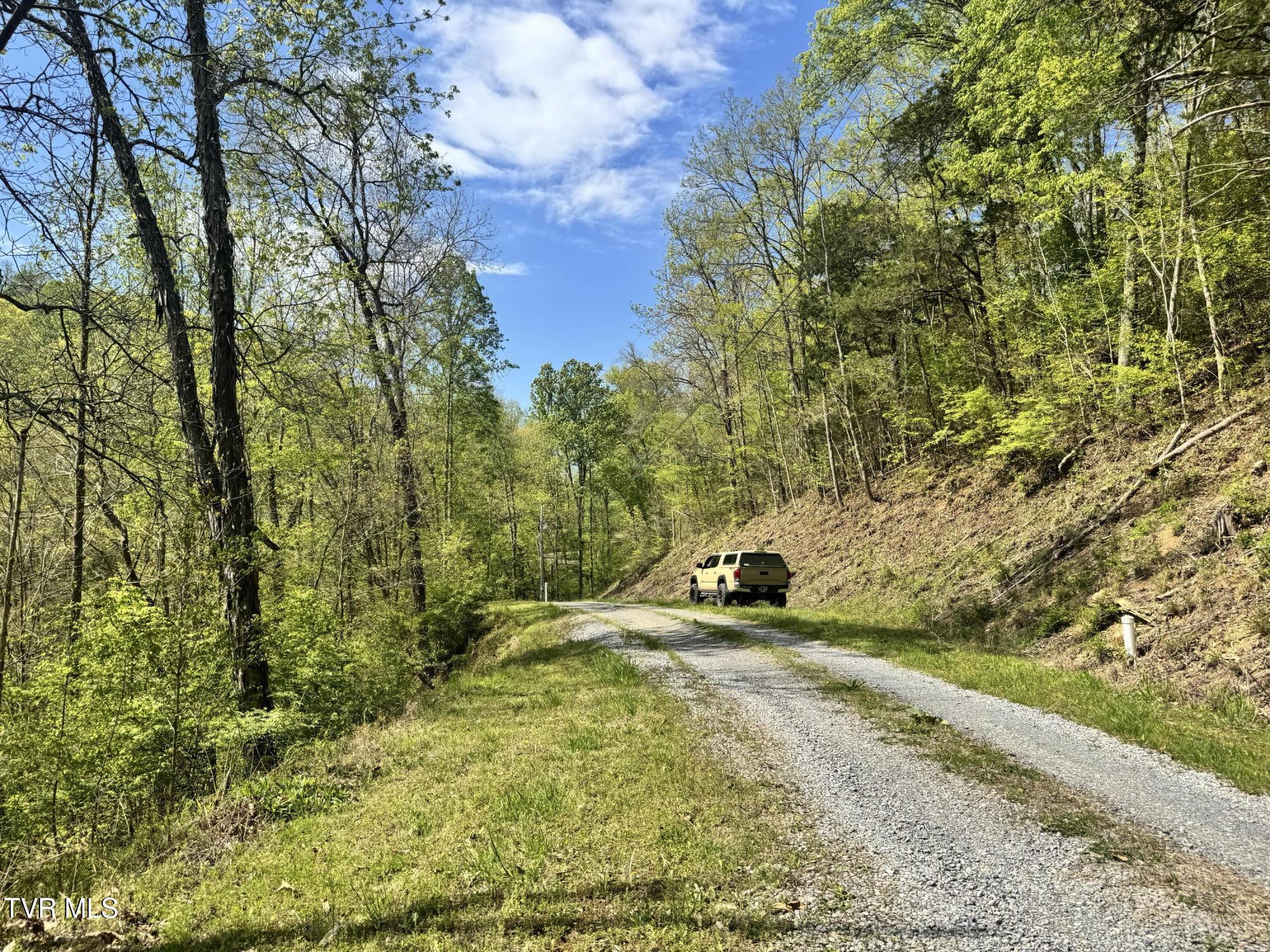 Weeping Willow Way, Newport, Tennessee image 11