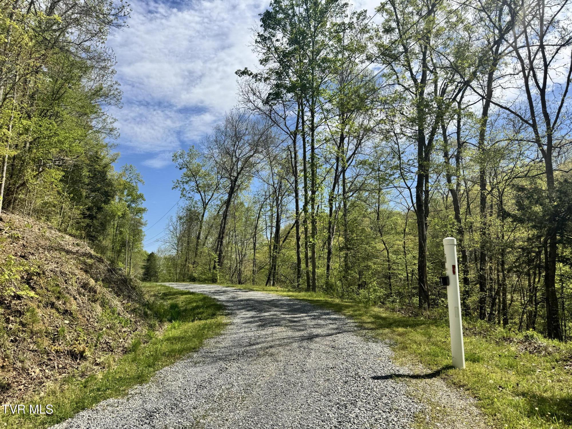 Weeping Willow Way, Newport, Tennessee image 8