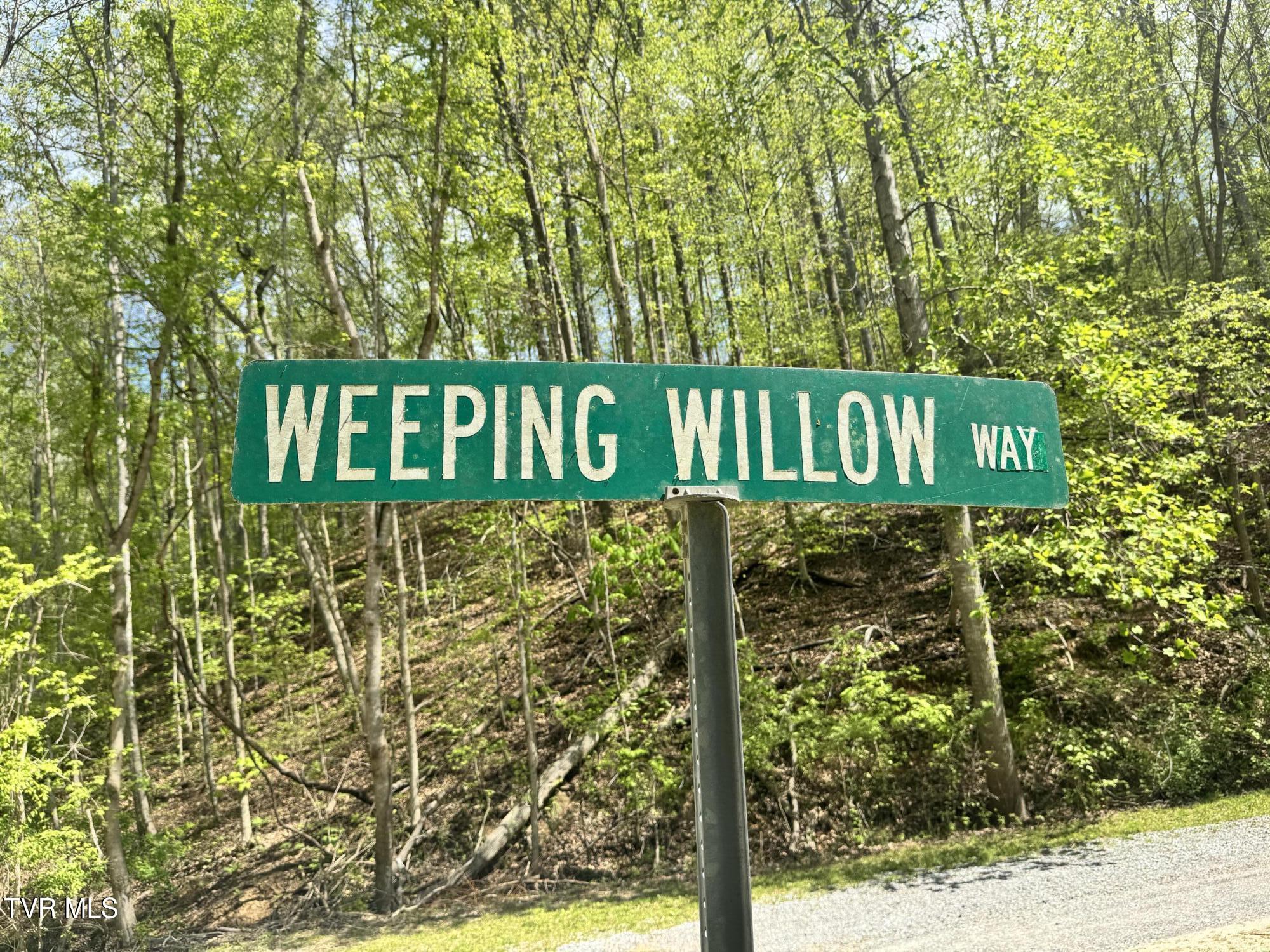 Weeping Willow Way, Newport, Tennessee image 6