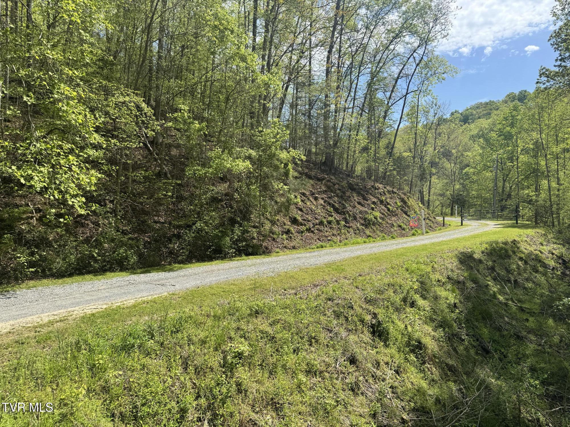 Weeping Willow Way, Newport, Tennessee image 10