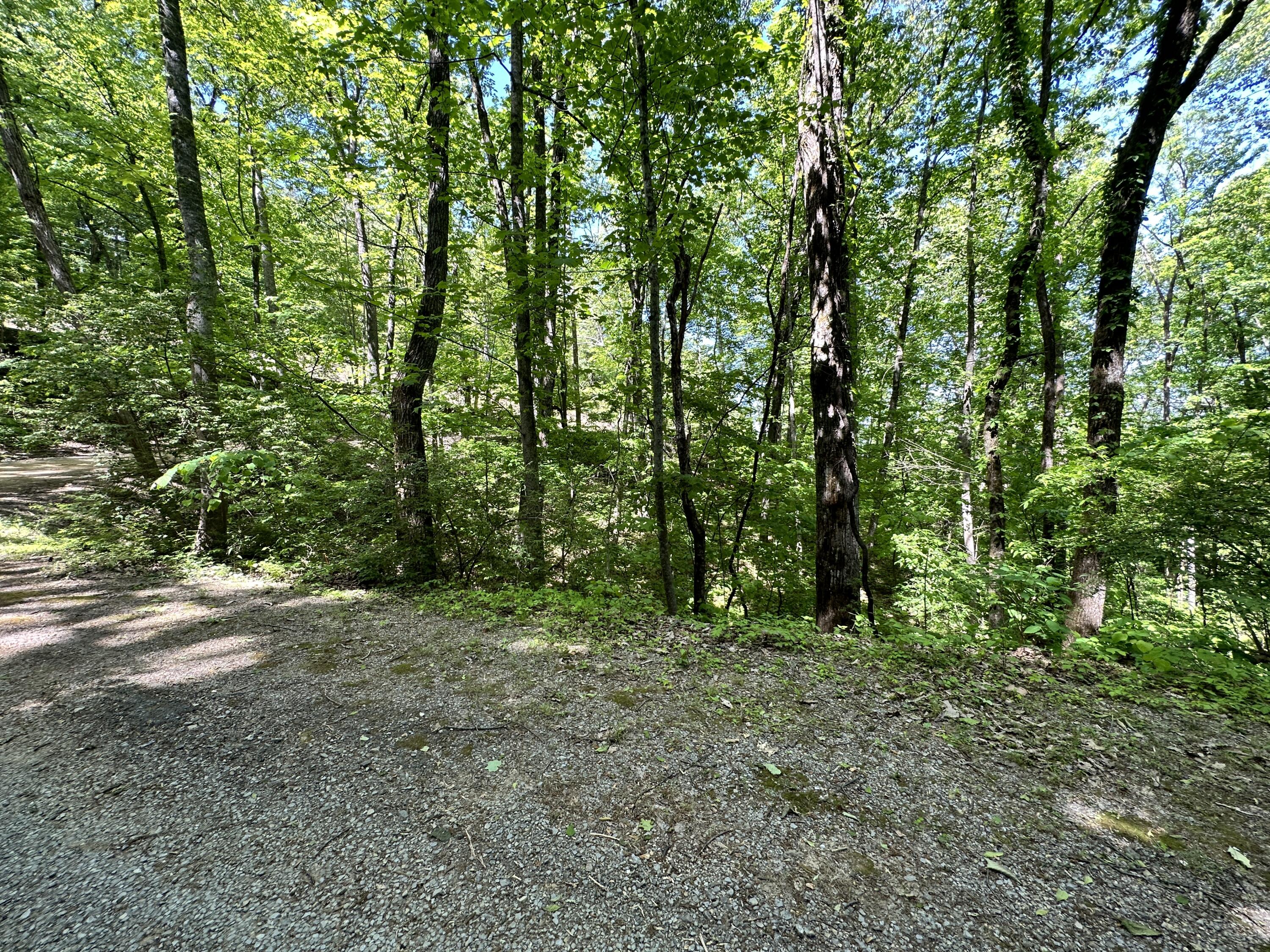 2604 Sunset Road, Sevierville, Tennessee image 13