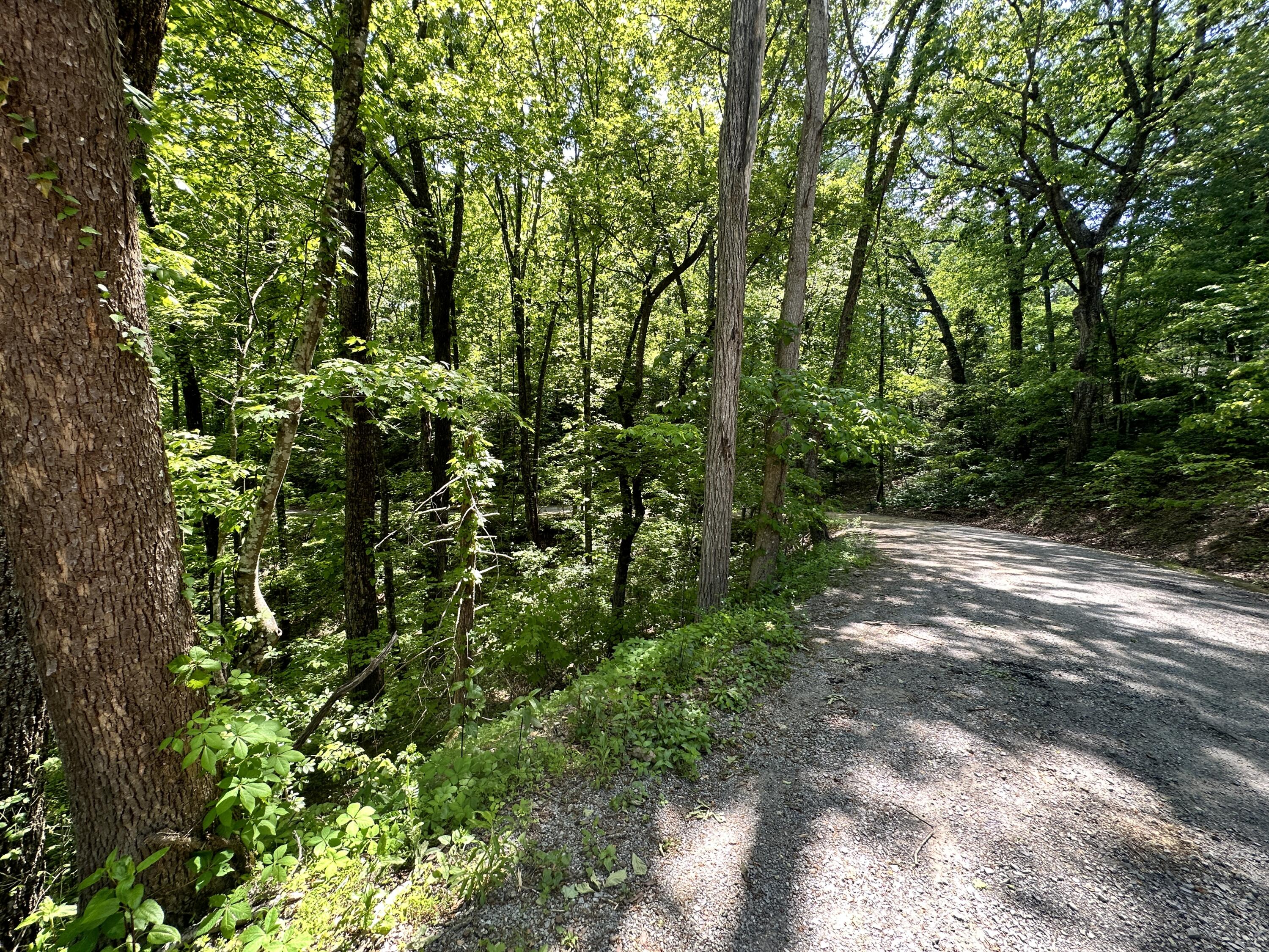 2604 Sunset Road, Sevierville, Tennessee image 7