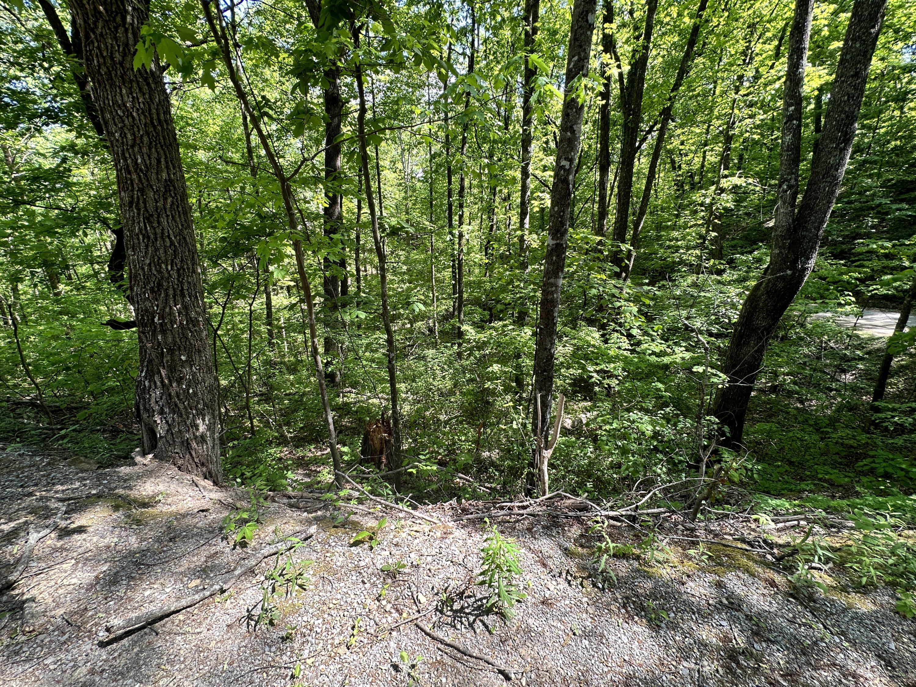 2604 Sunset Road, Sevierville, Tennessee image 8