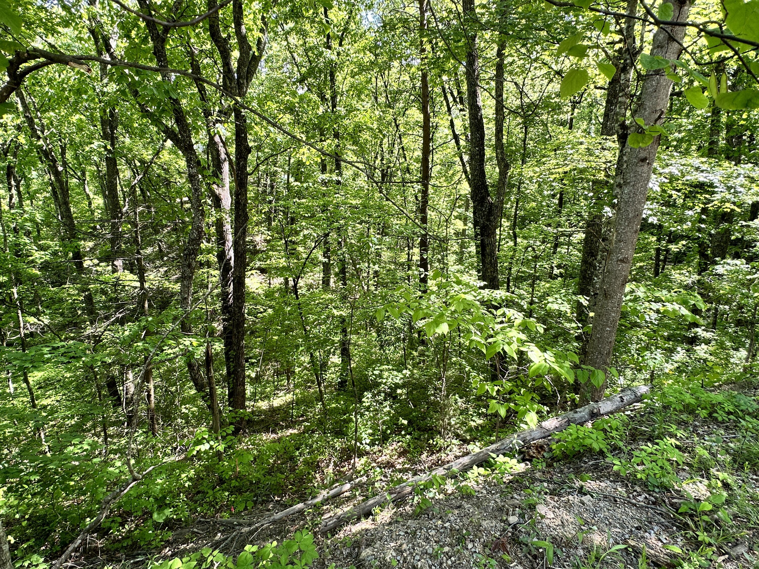 2604 Sunset Road, Sevierville, Tennessee image 2
