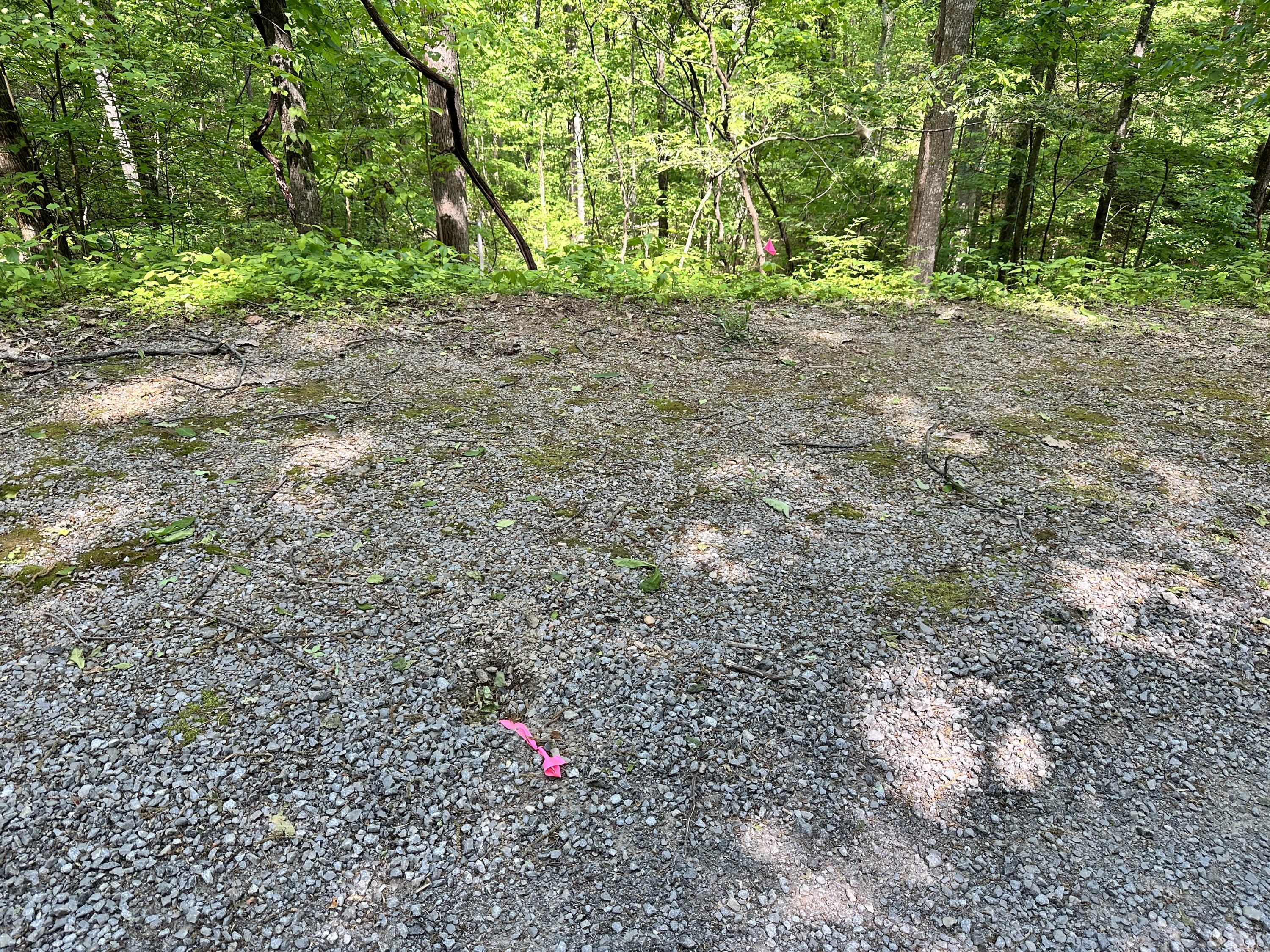 2604 Sunset Road, Sevierville, Tennessee image 10