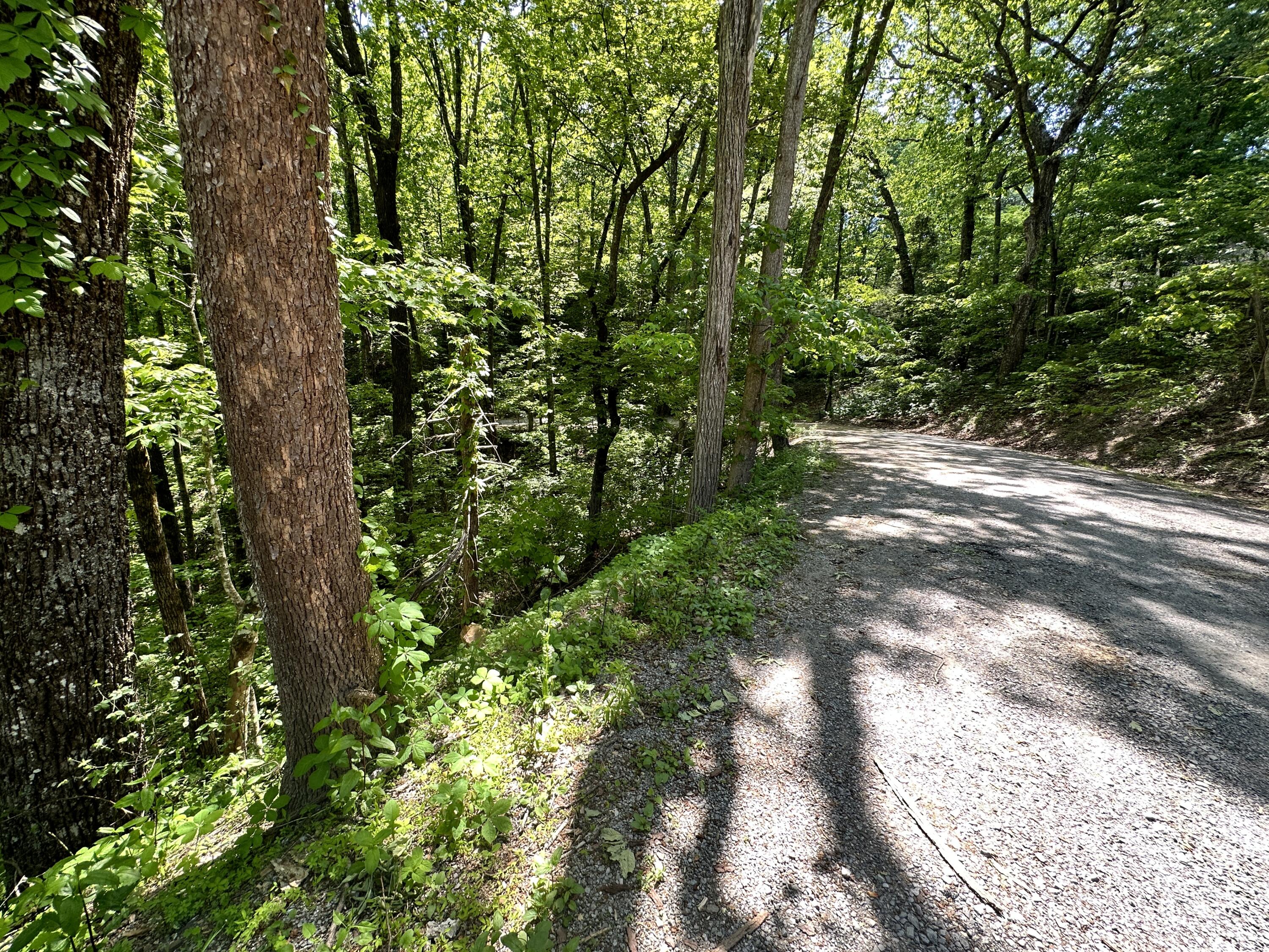2604 Sunset Road, Sevierville, Tennessee image 6