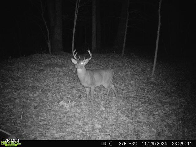 174 Carr Hollow Rd Road, Elizabethton, Tennessee image 44