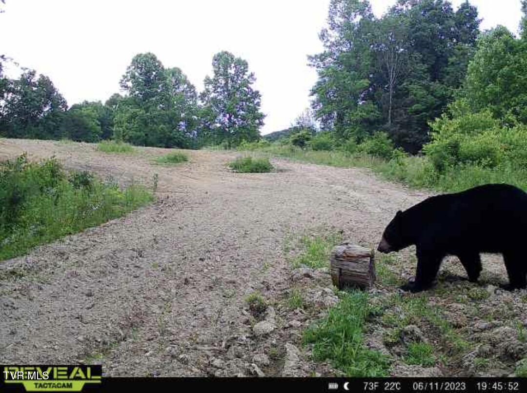 174 Carr Hollow Rd Road, Elizabethton, Tennessee image 47