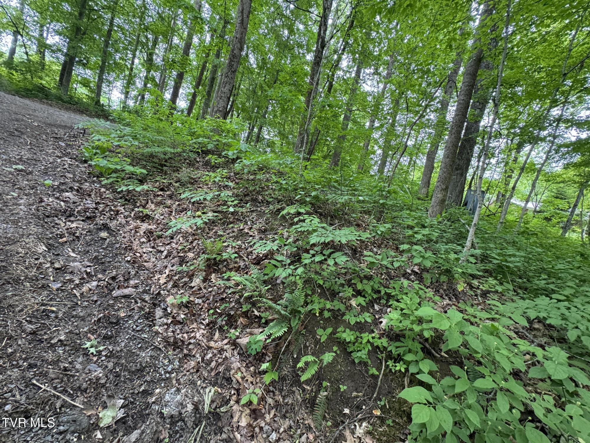 649 Sugar Run Road, Jonesville, Virginia image 20