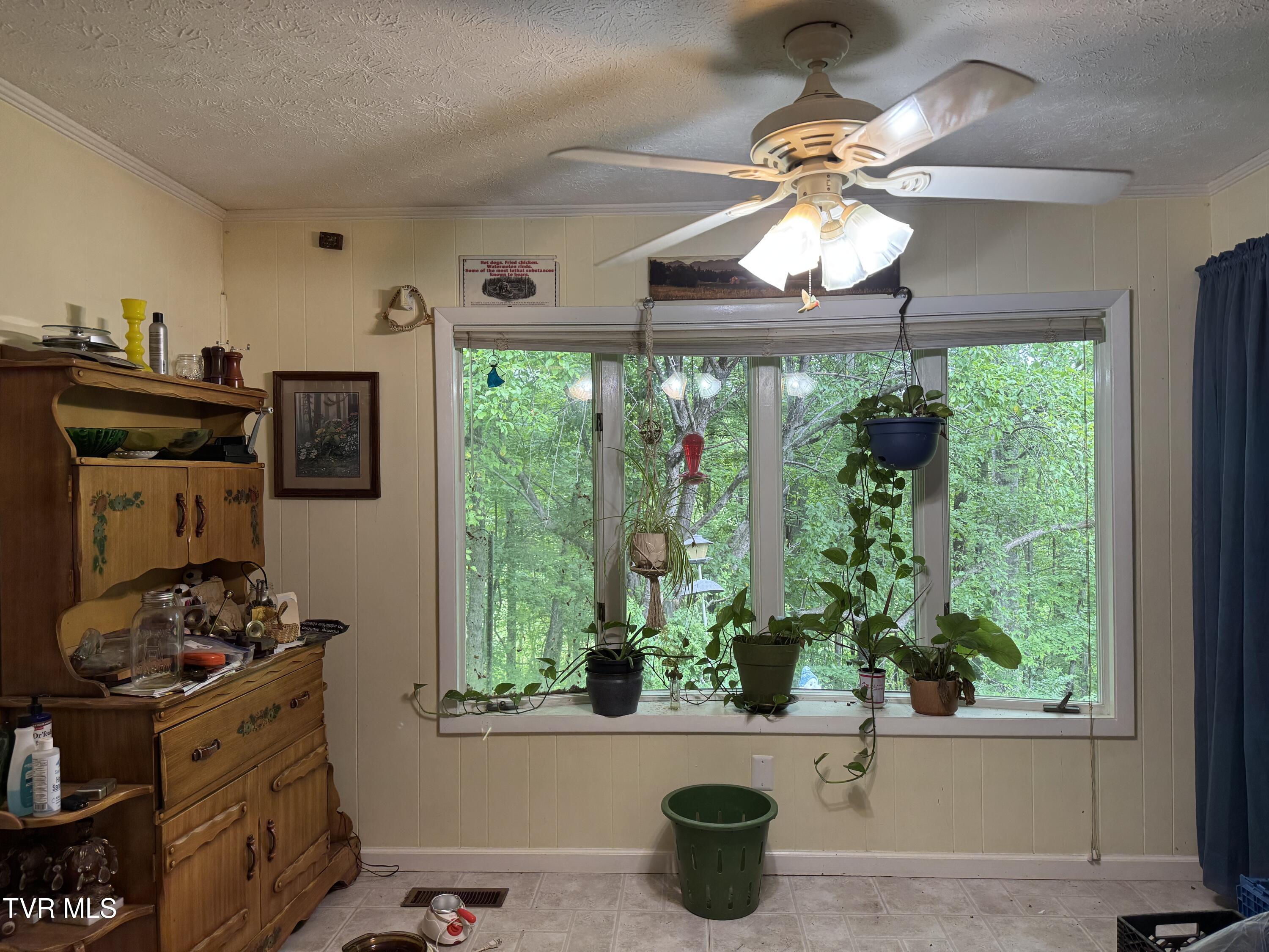 649 Sugar Run Road, Jonesville, Virginia image 8