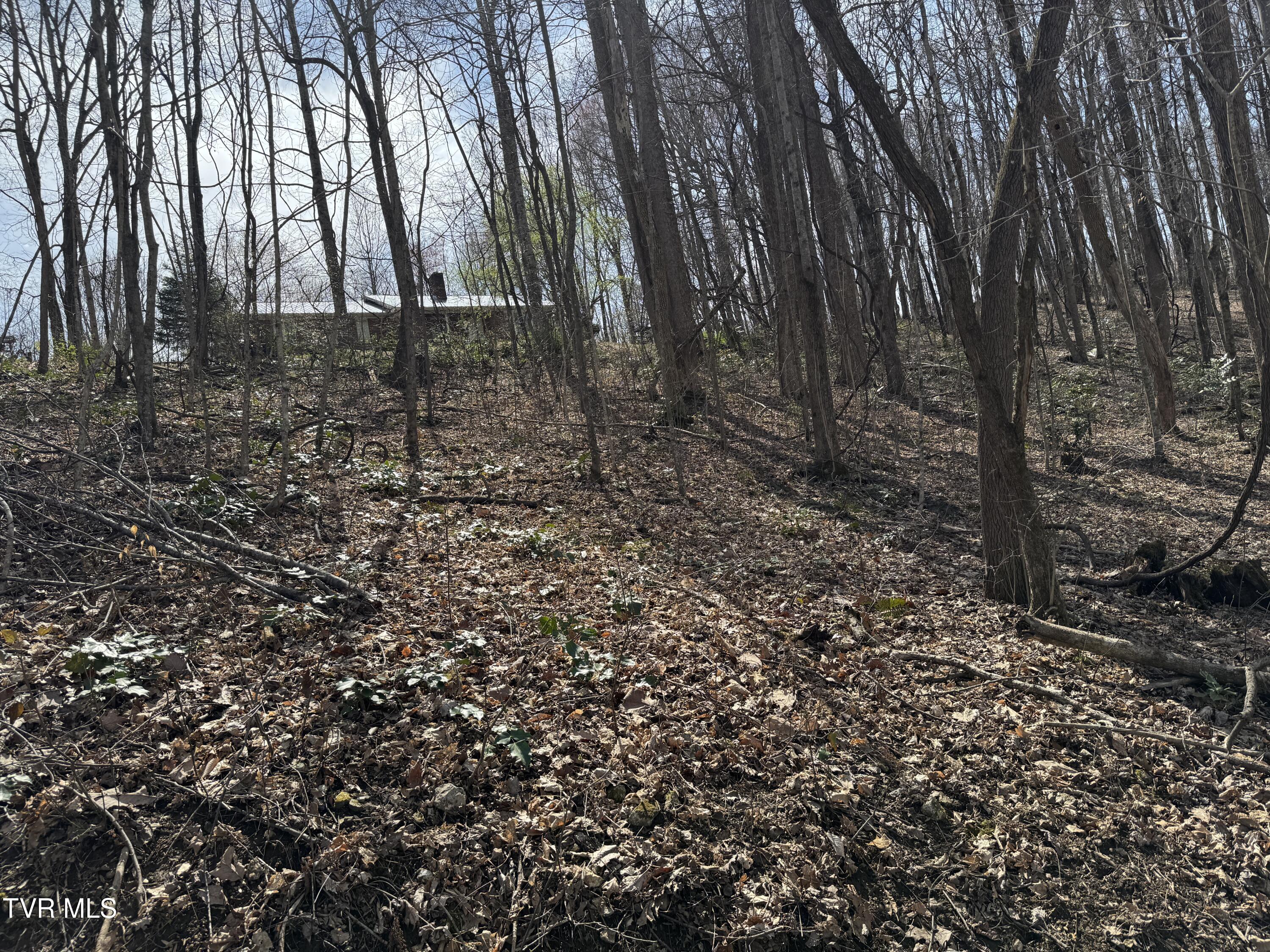 649 Sugar Run Road, Jonesville, Virginia image 29