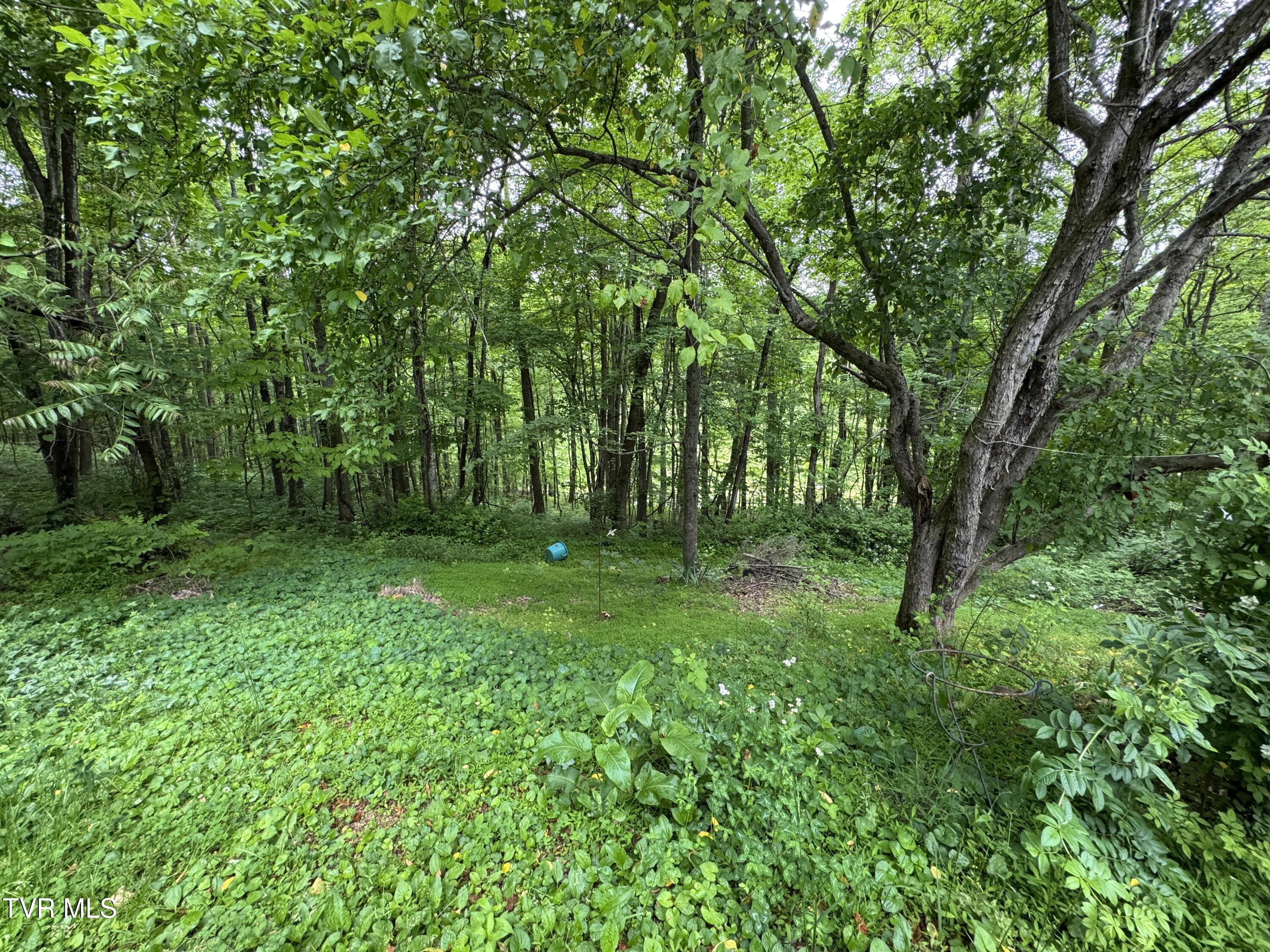 649 Sugar Run Road, Jonesville, Virginia image 7