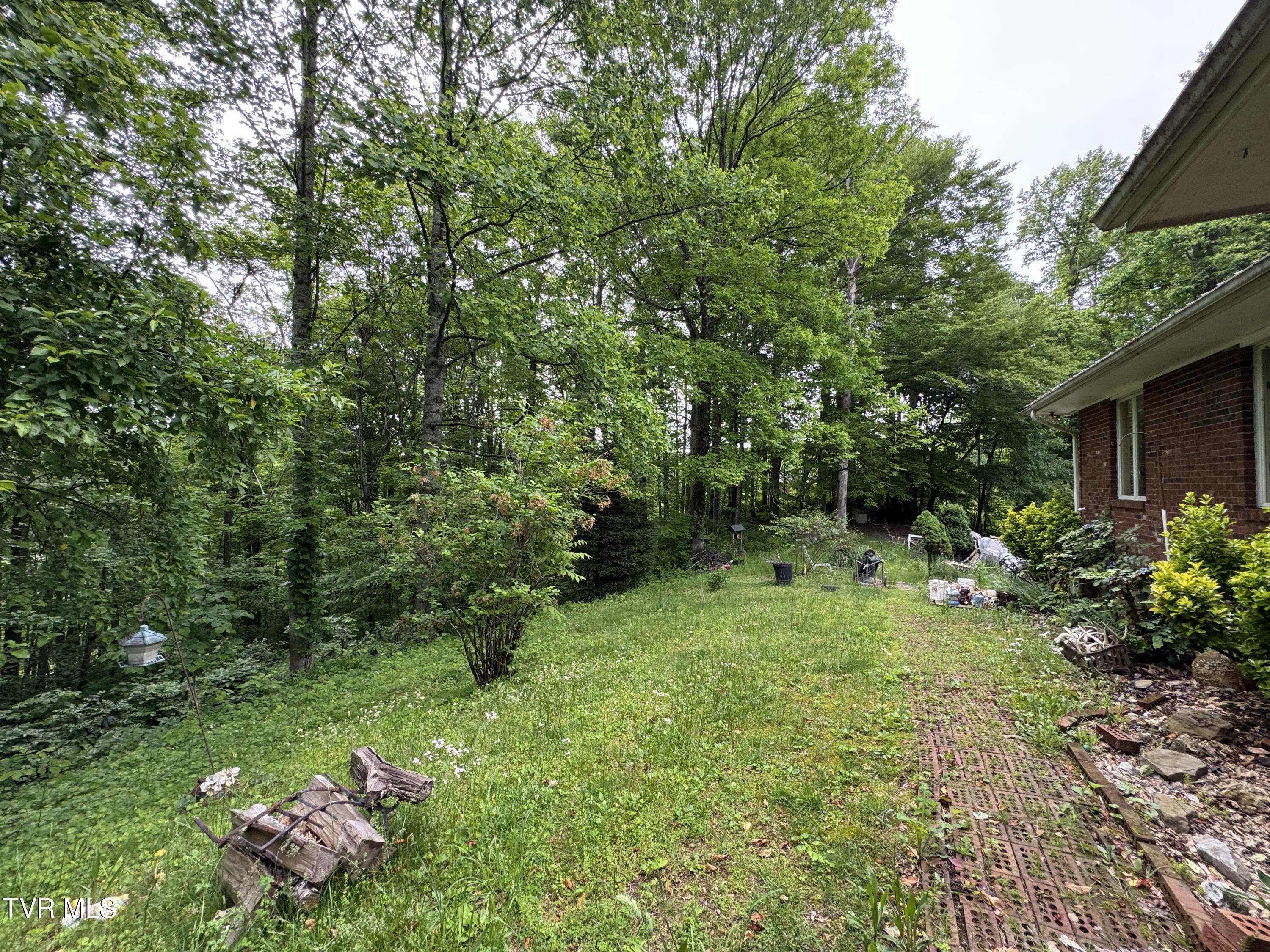 649 Sugar Run Road, Jonesville, Virginia image 2
