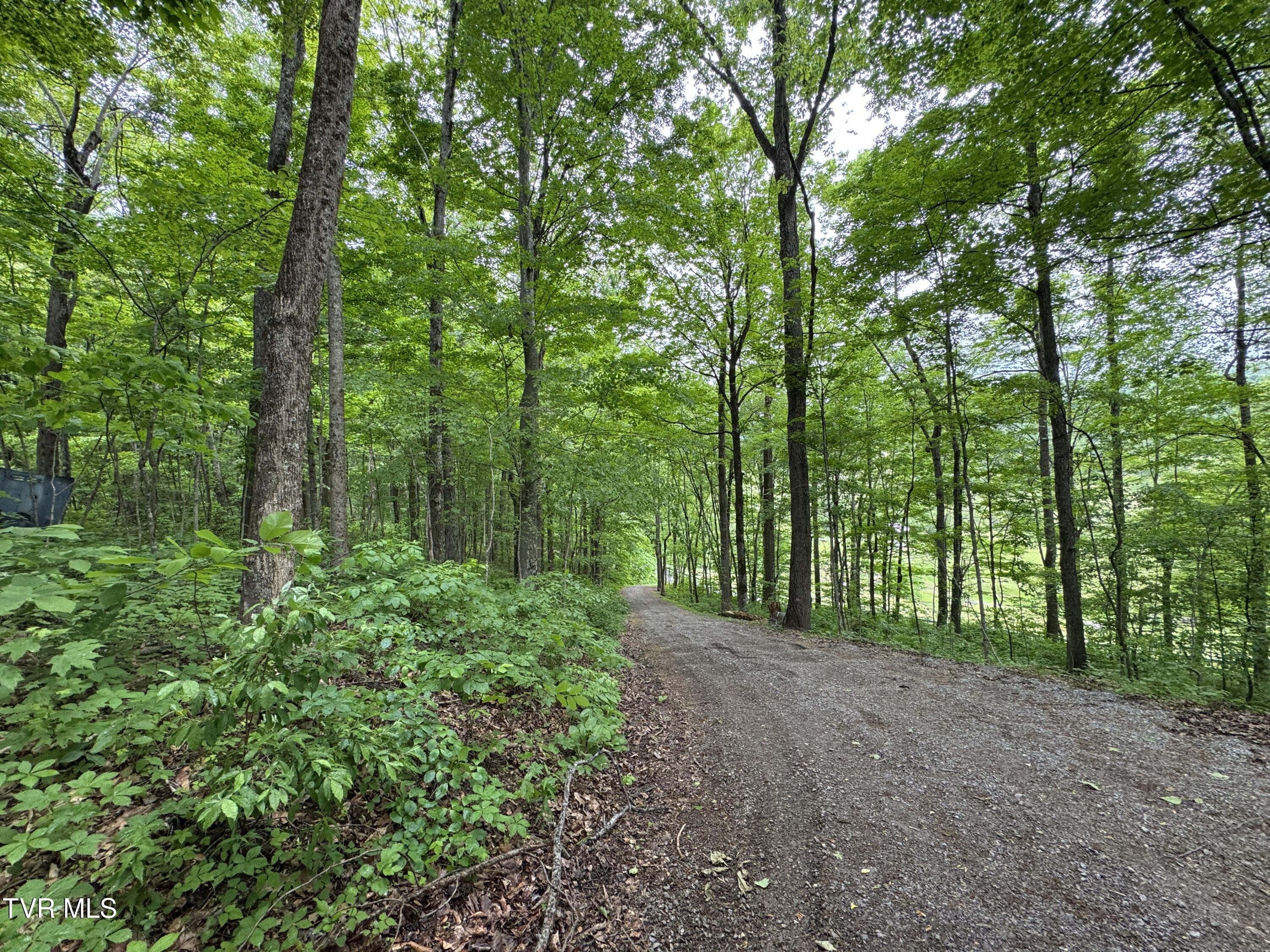 649 Sugar Run Road, Jonesville, Virginia image 22