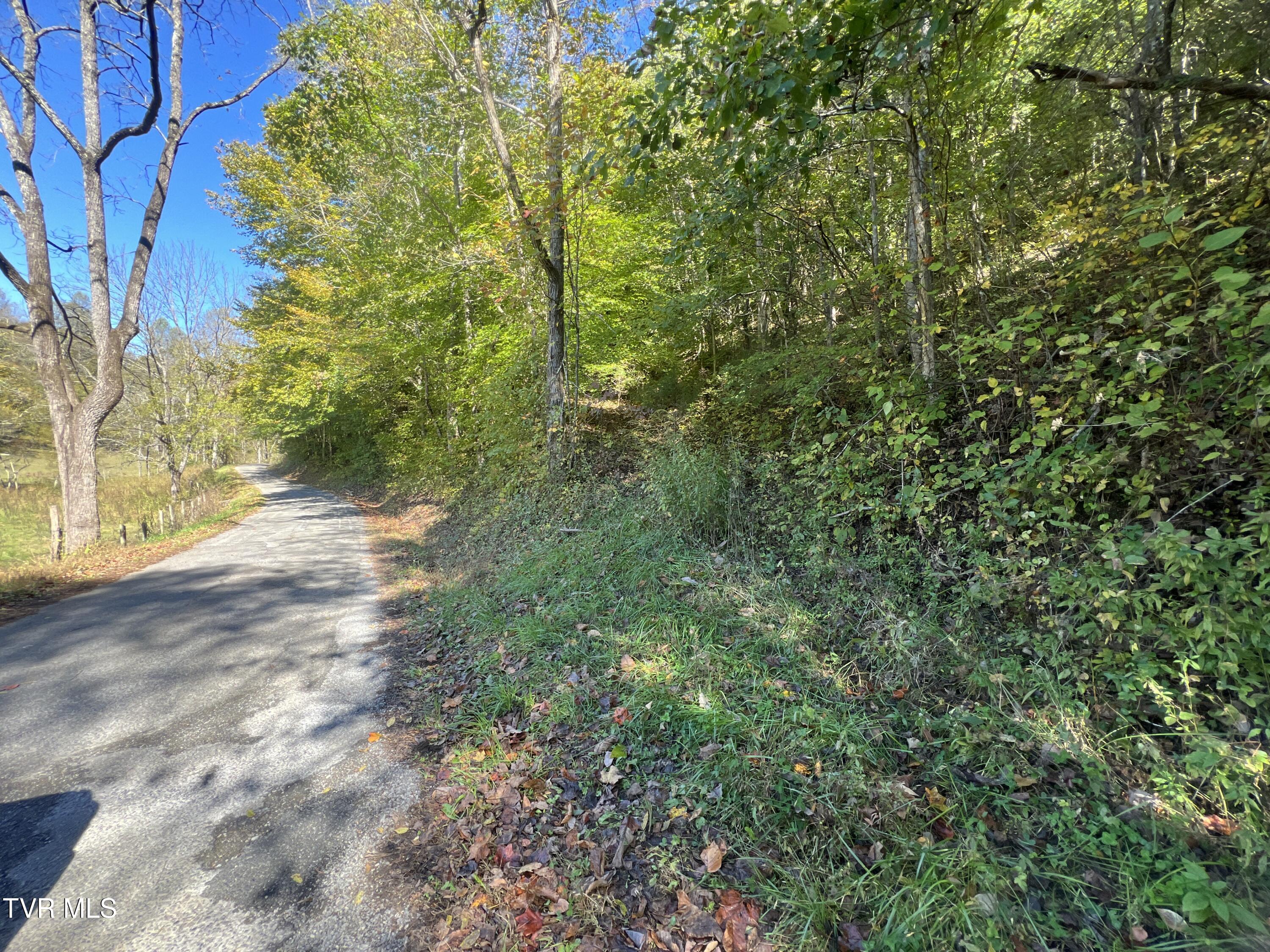 000 Tbd Fishers Creek Road, Rogersville, Tennessee image 1