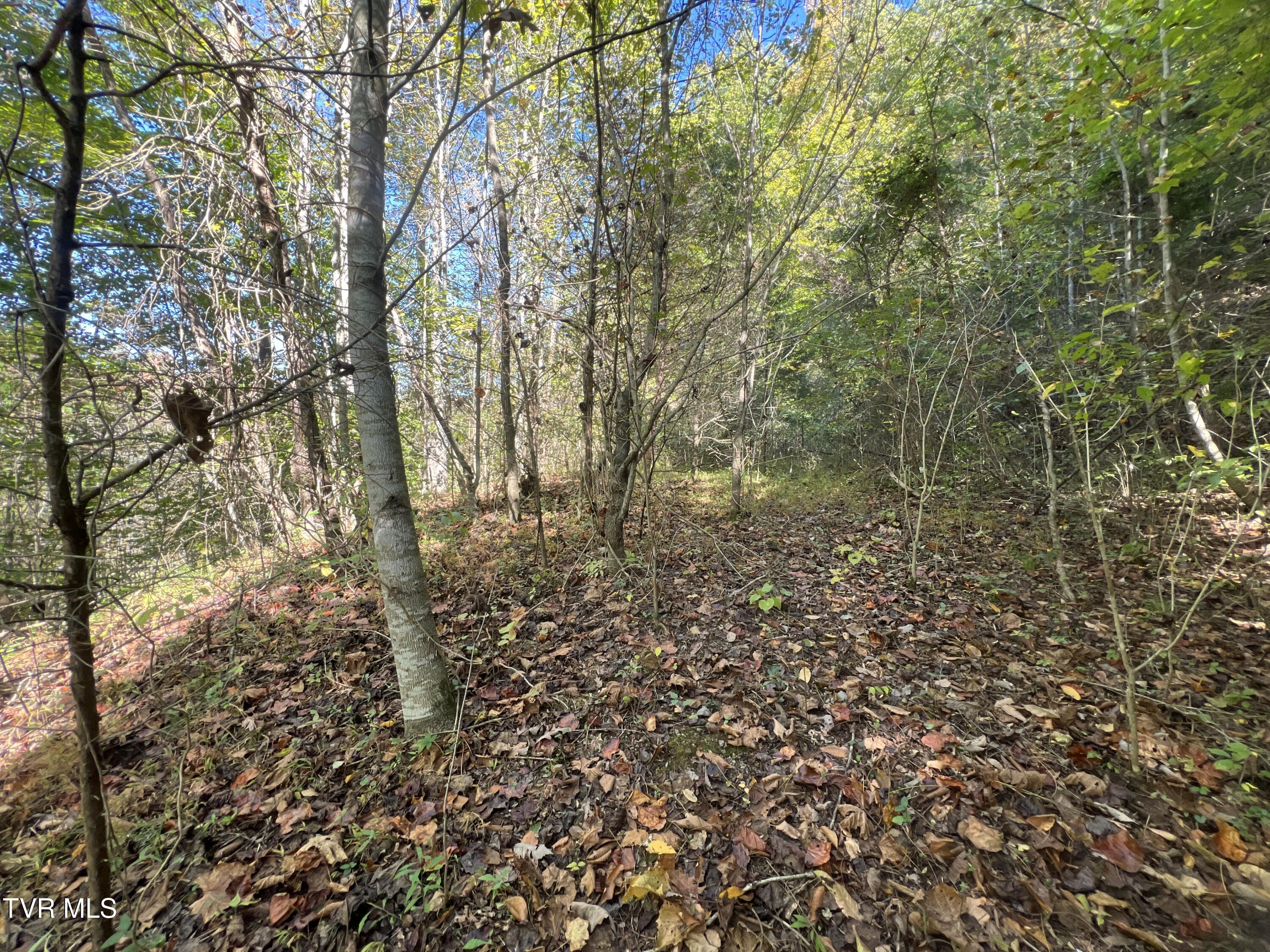 000 Tbd Fishers Creek Road, Rogersville, Tennessee image 3