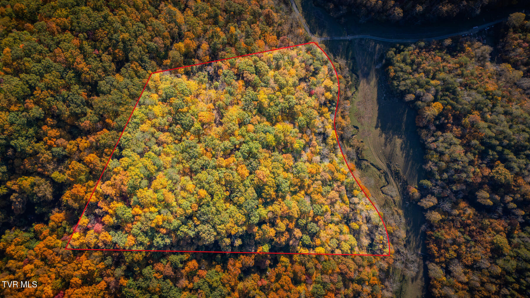 000 Tbd Fishers Creek Road, Rogersville, Tennessee image 5