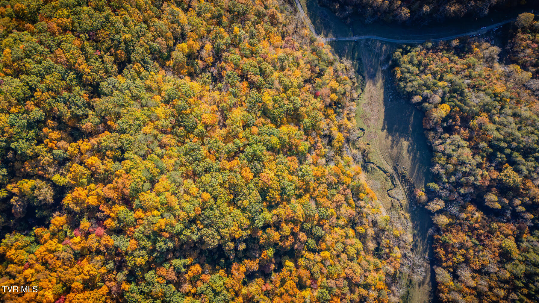000 Tbd Fishers Creek Road, Rogersville, Tennessee image 13
