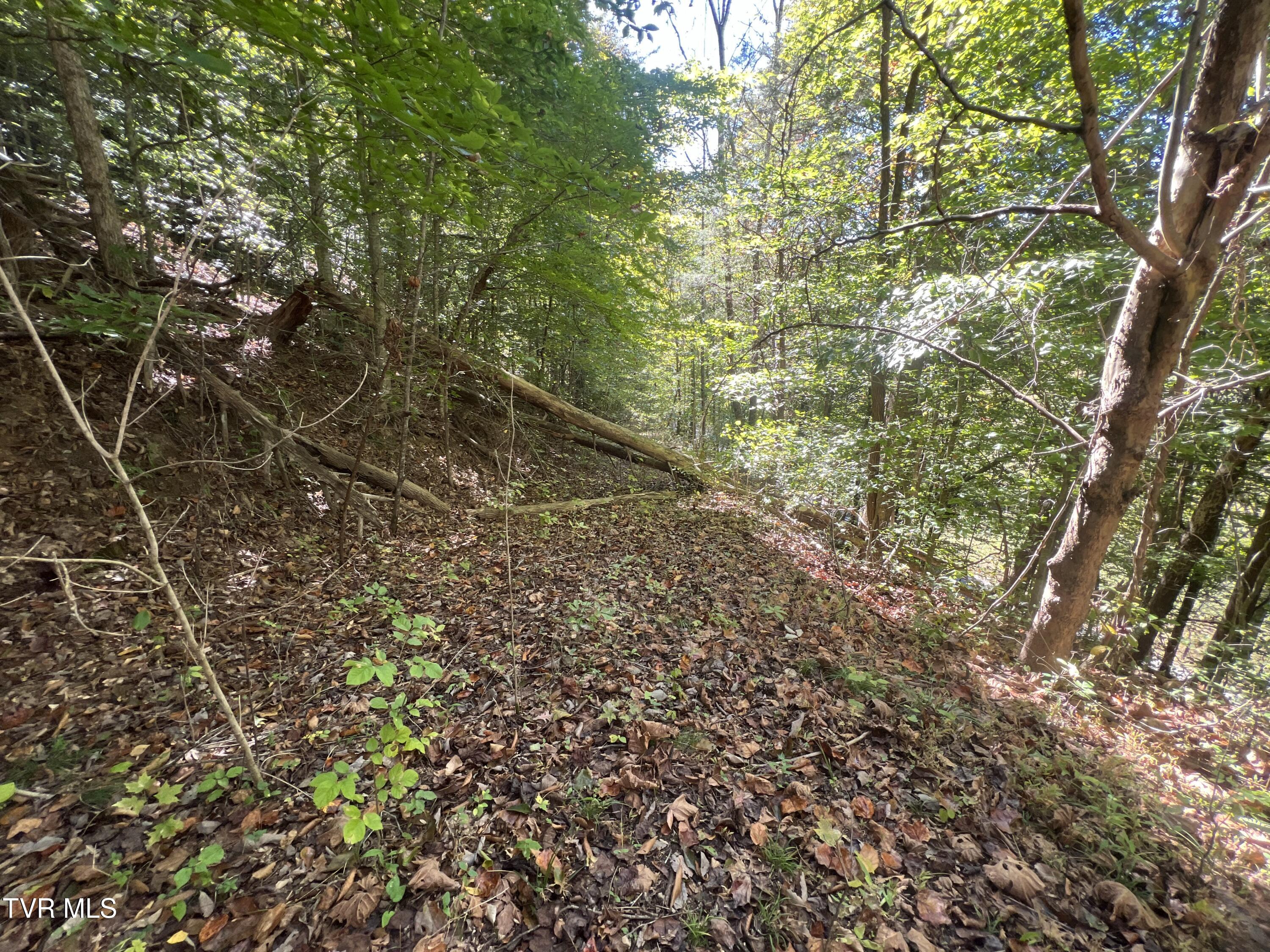 000 Tbd Fishers Creek Road, Rogersville, Tennessee image 4