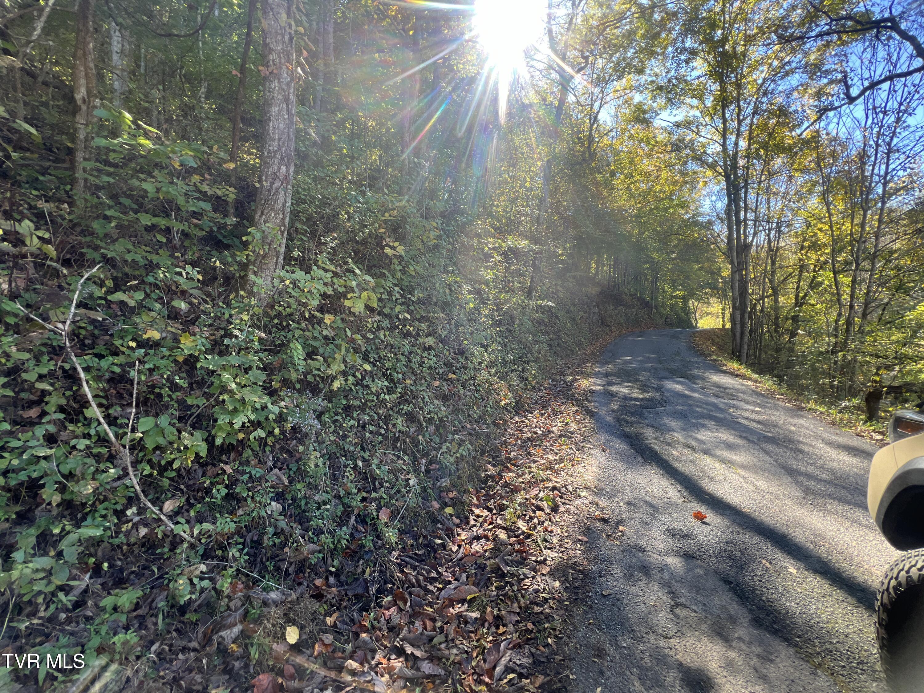 000 Tbd Fishers Creek Road, Rogersville, Tennessee image 2