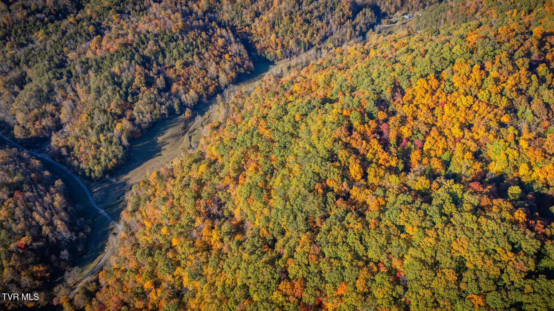 000 Tbd Fishers Creek Road, Rogersville, Tennessee image 11