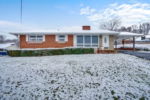 Photo of 2802 Cain Street, Kingsport, TN 37660 (MLS # 9989237)