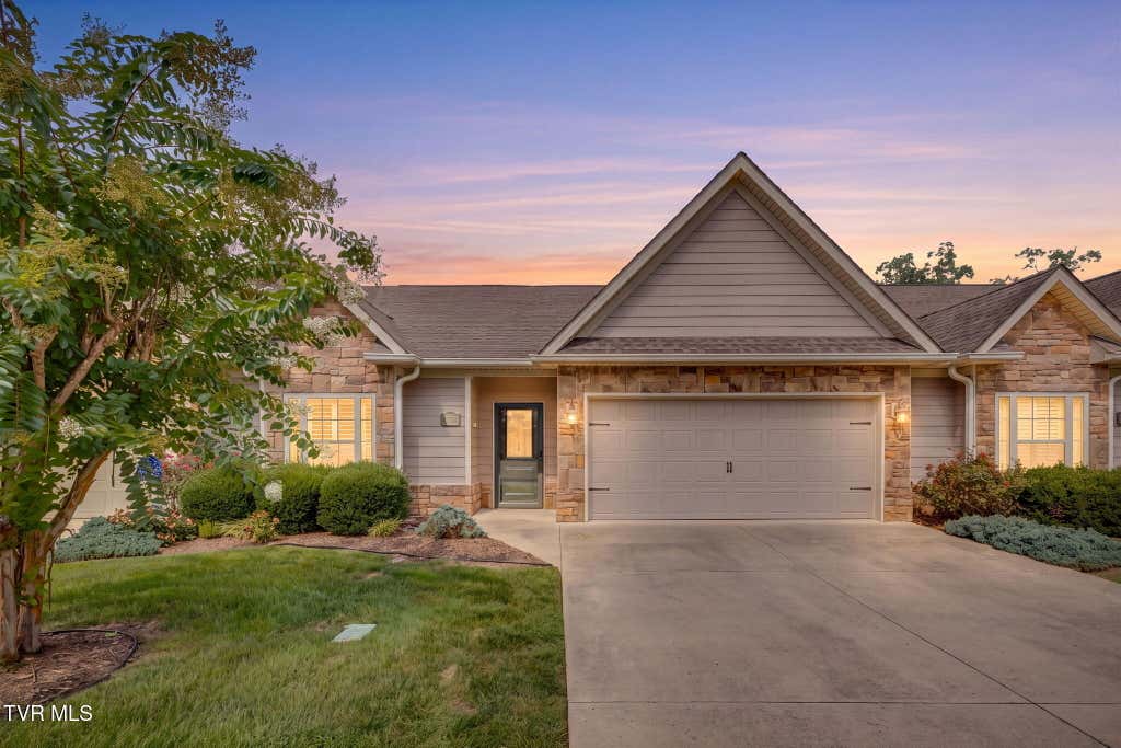Photo of 373 Coldwater Drive, Johnson City, TN 37601 (MLS # 9999792)