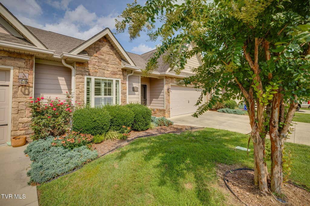 Photo of 373 Coldwater Drive, Johnson City, TN 37601 (MLS # 9999792)