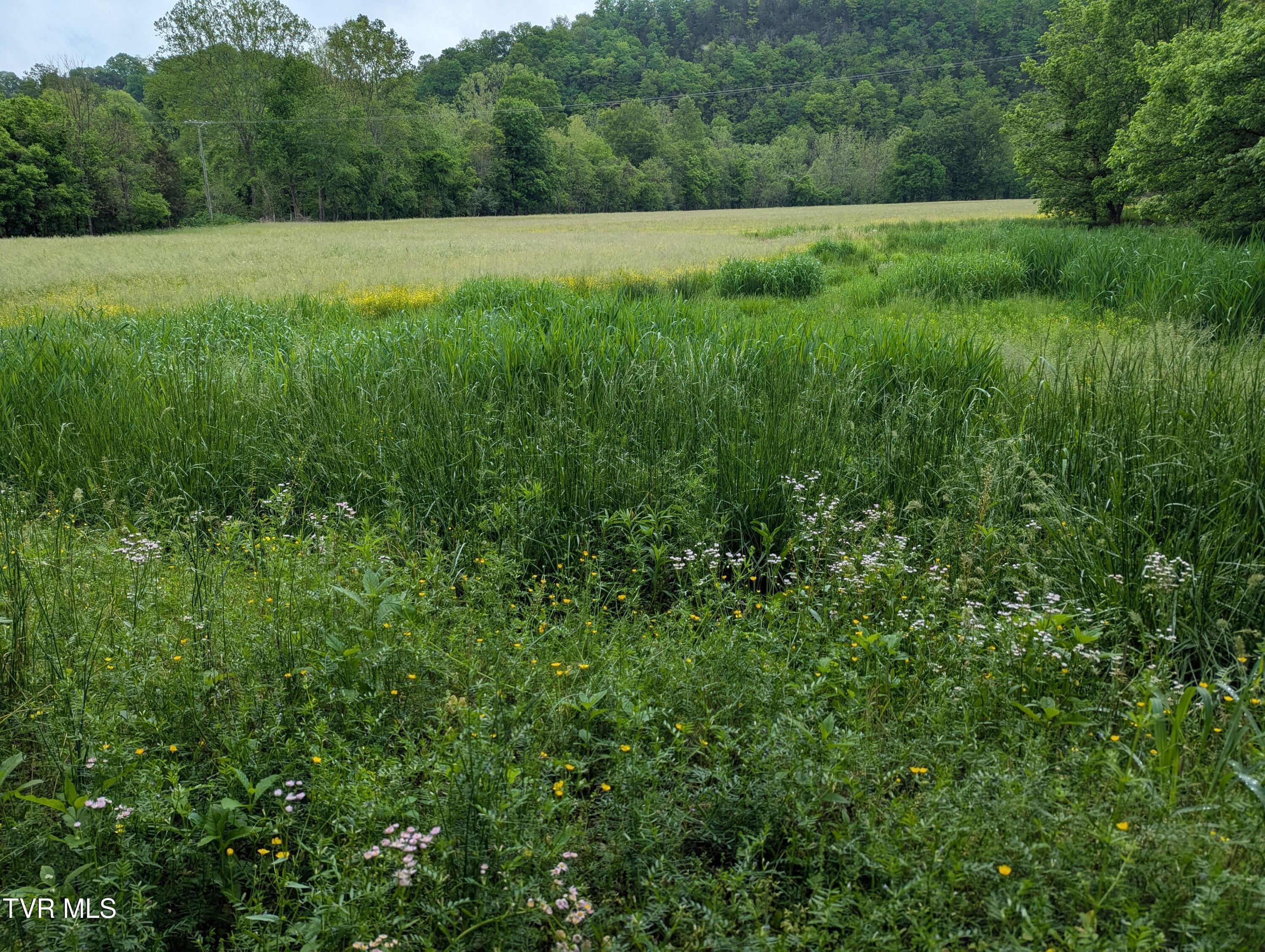 Tbd Clinch River Highway, Gate City, Virginia image 2
