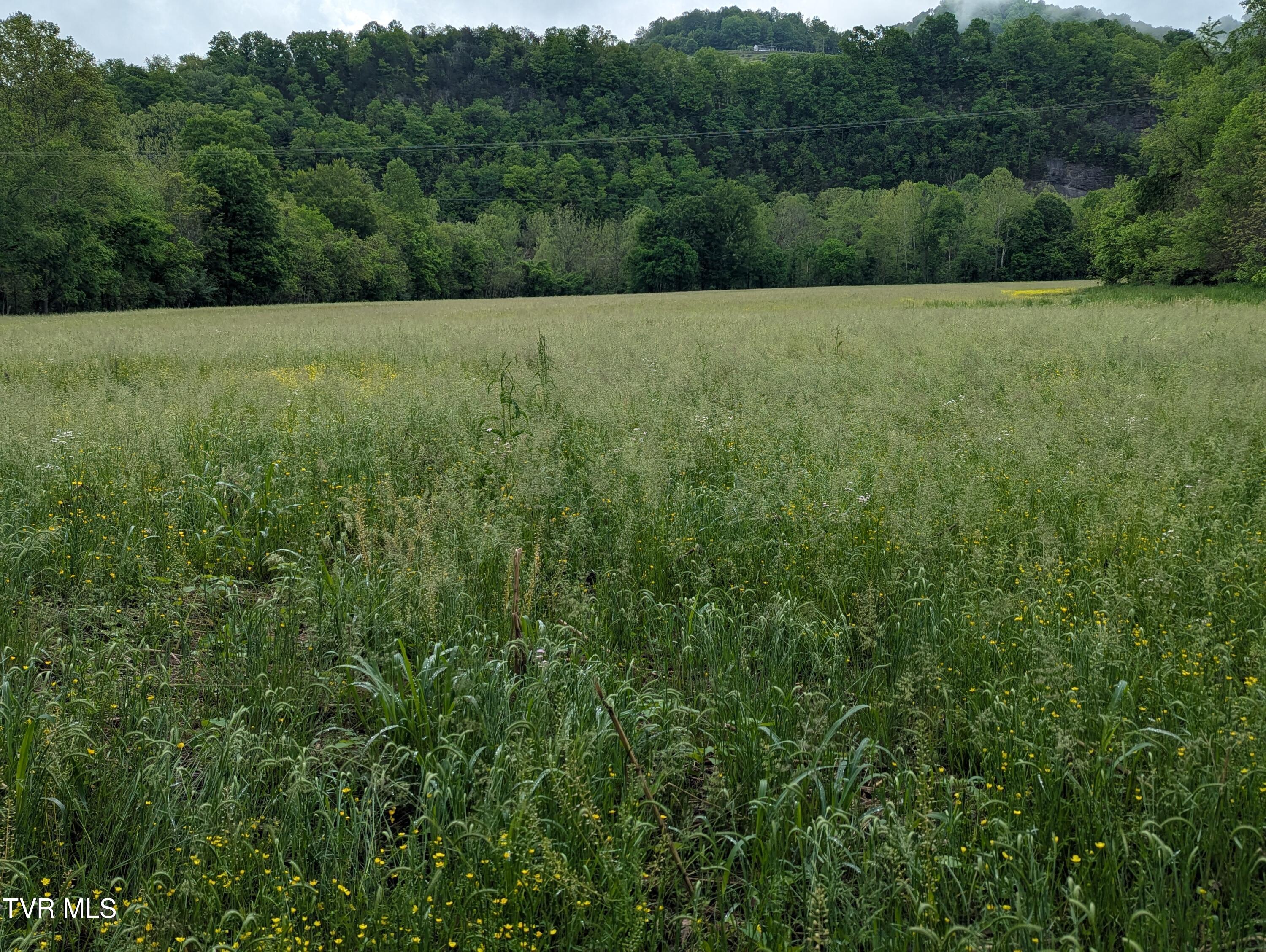 Tbd Clinch River Highway, Gate City, Virginia image 5