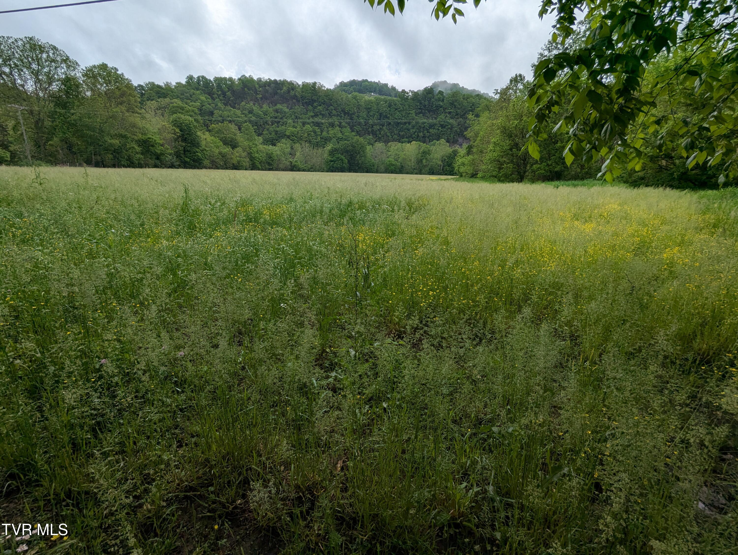 Tbd Clinch River Highway, Gate City, Virginia image 3