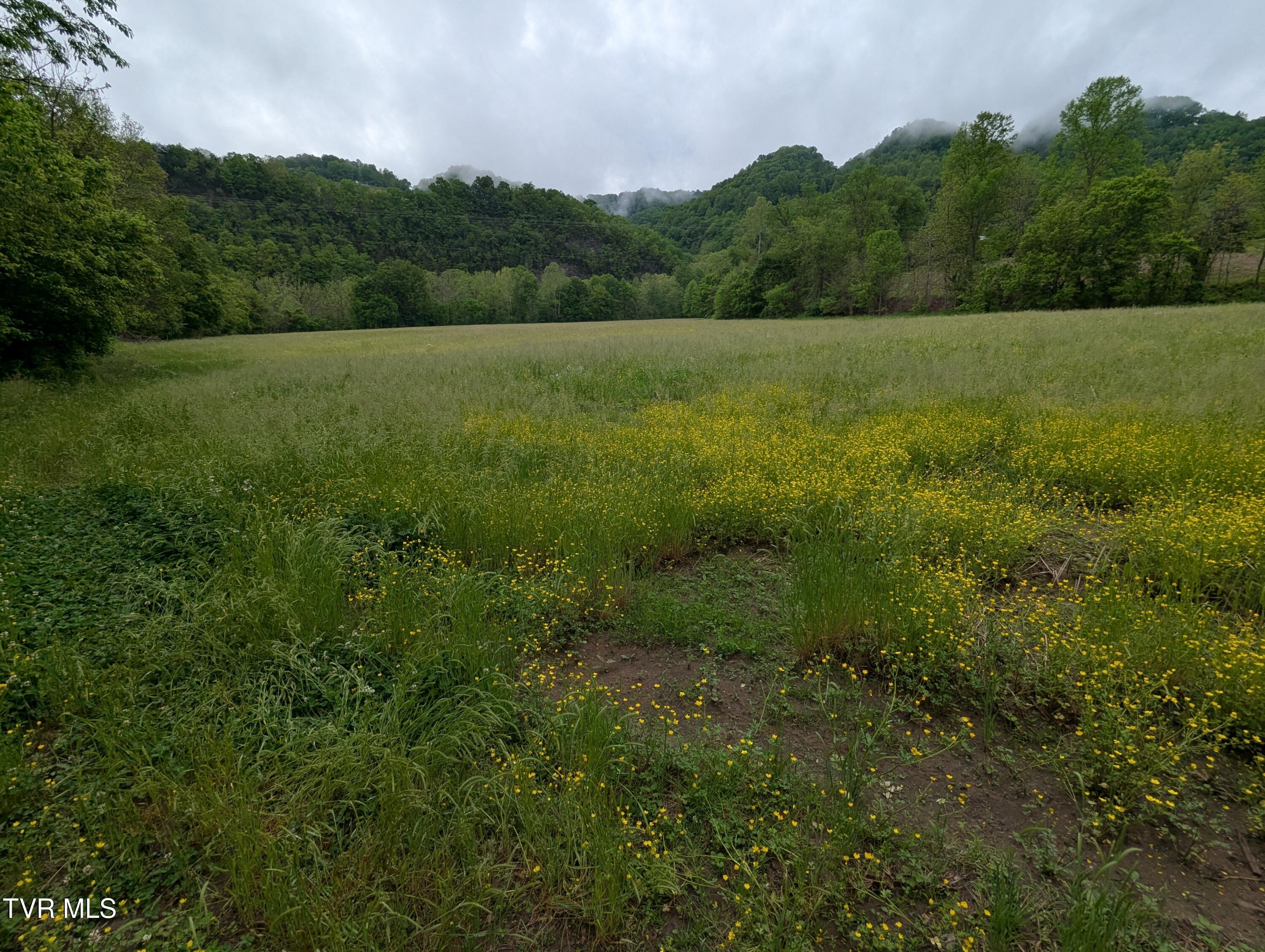 Tbd Clinch River Highway, Gate City, Virginia image 6