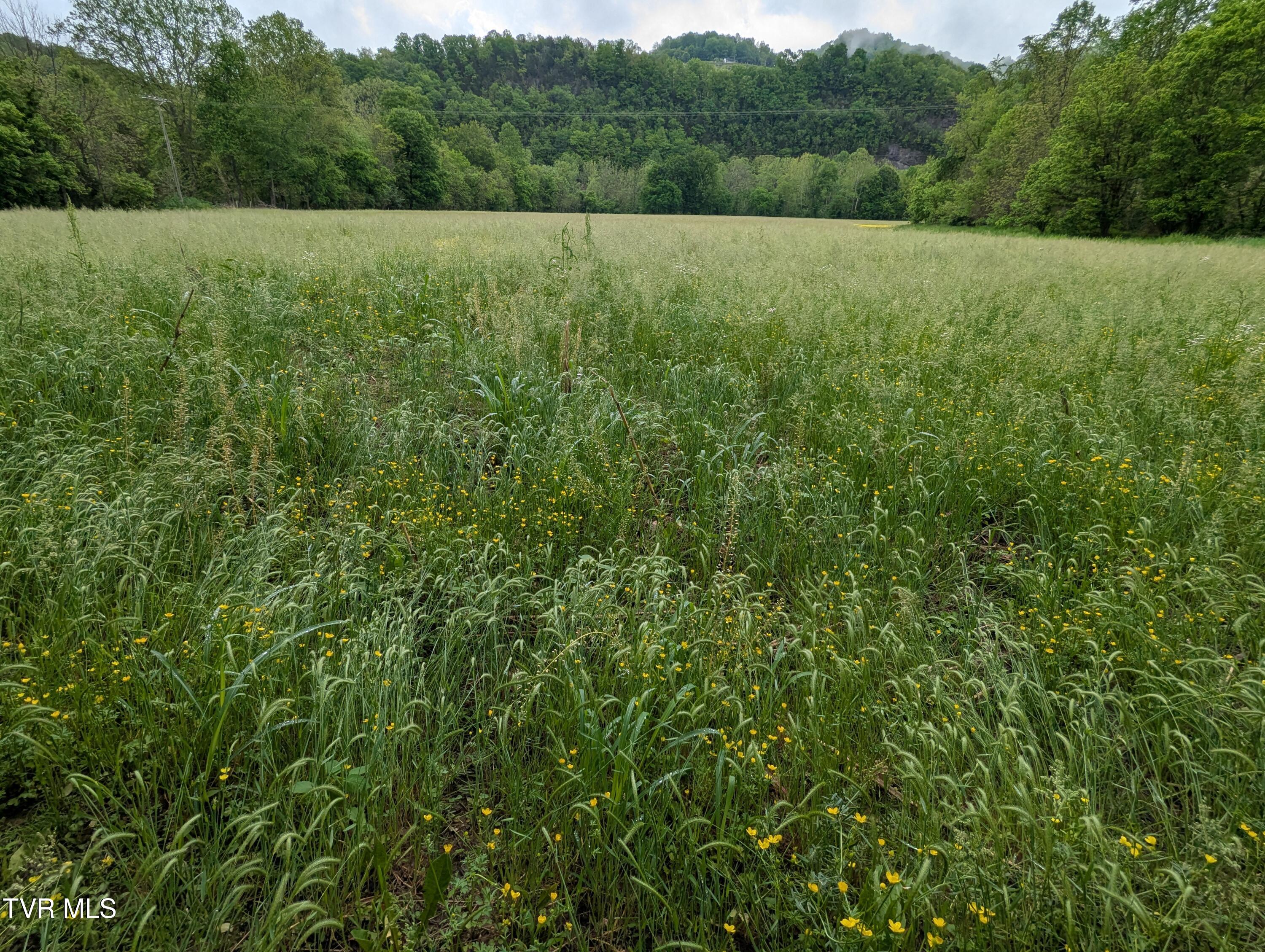 Tbd Clinch River Highway, Gate City, Virginia image 4