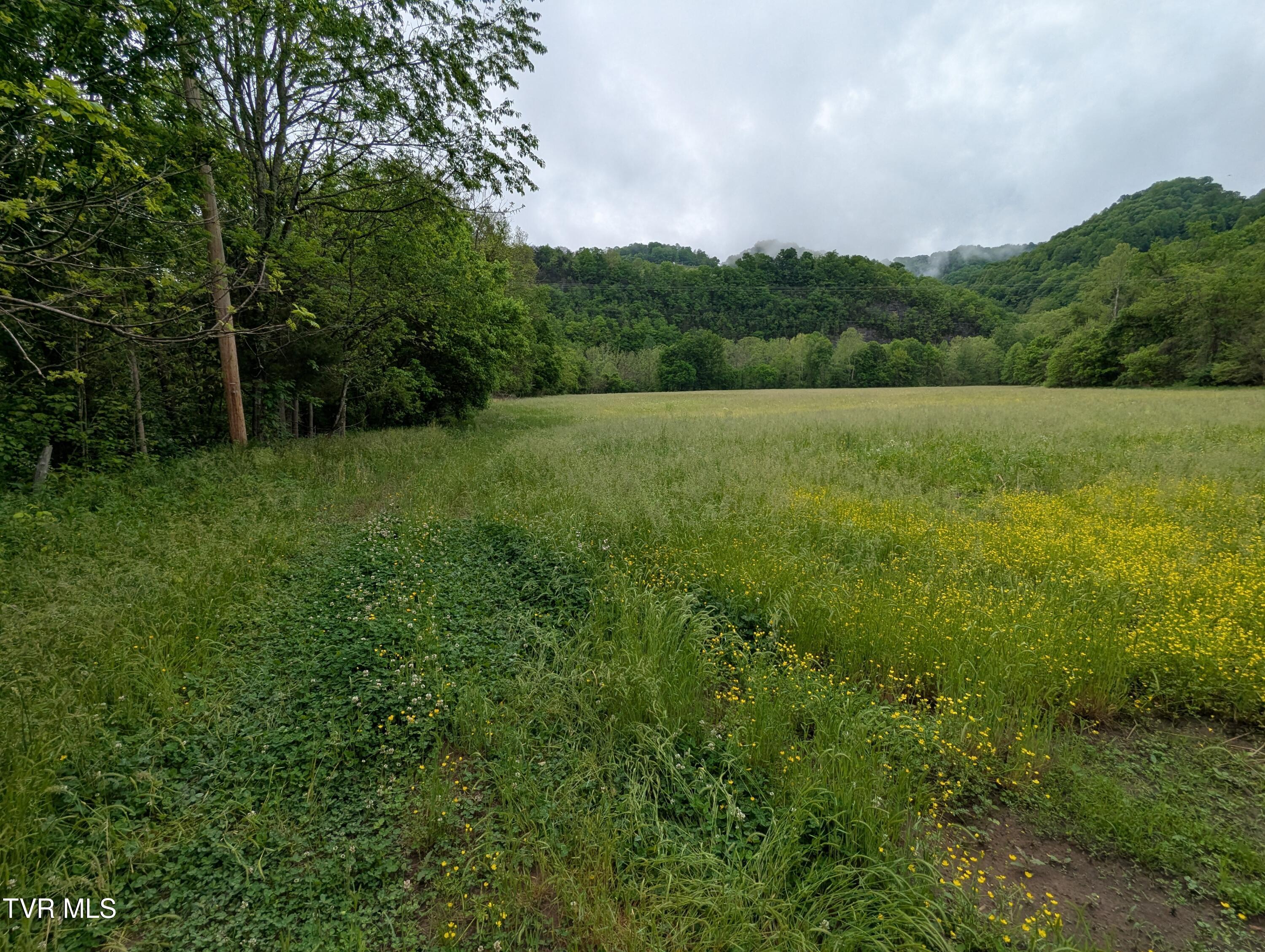 Tbd Clinch River Highway, Gate City, Virginia image 8