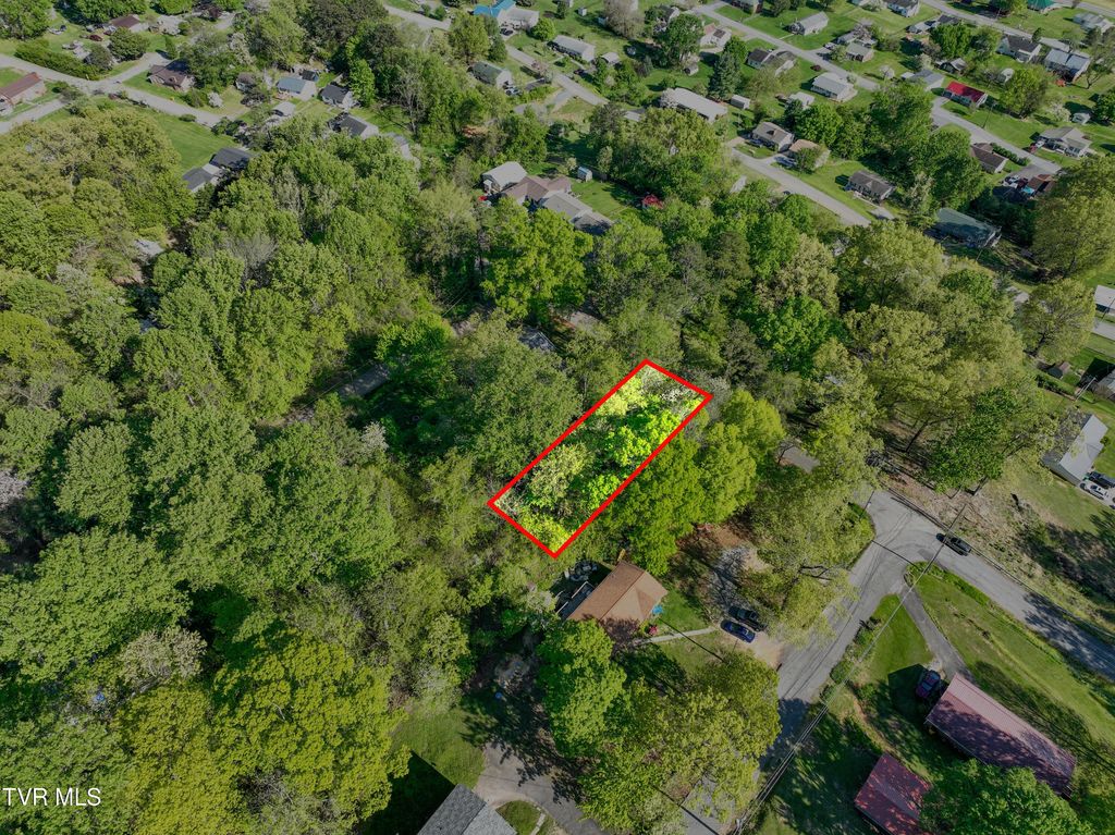 Photo of 19 Page Street, Kingsport, TN 37660 (MLS # 9973753)